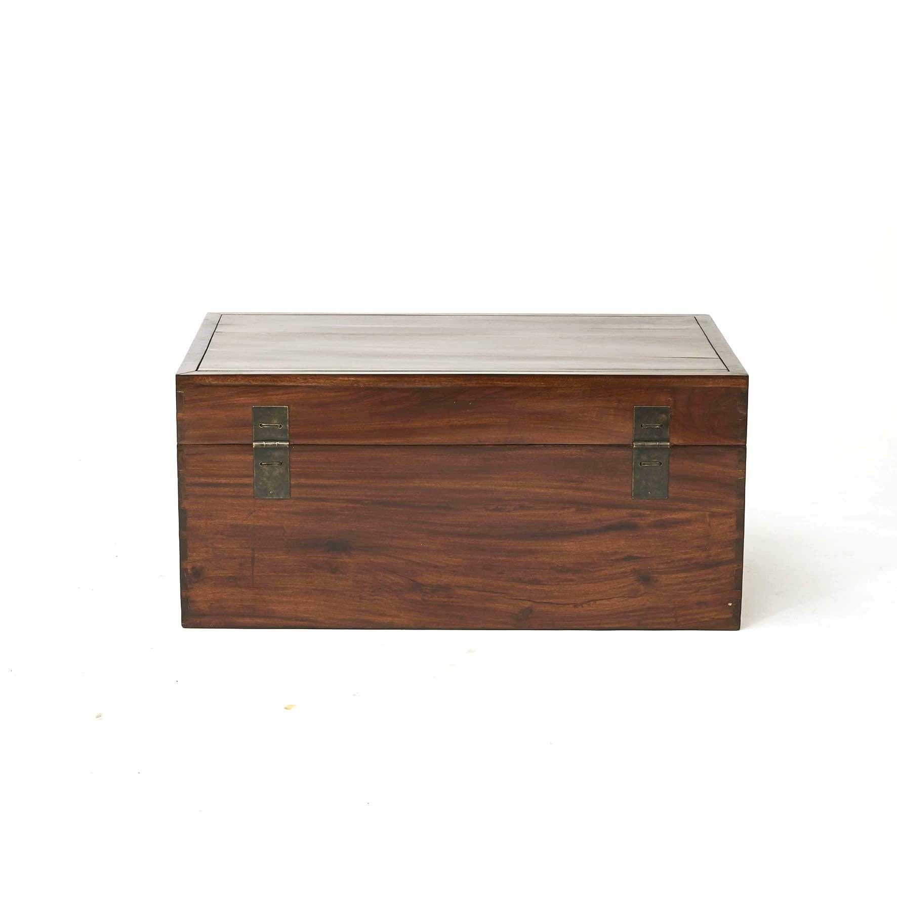Chinese Antique Camphor Wood Chest, Jiangsu Province, C 1900 For Sale