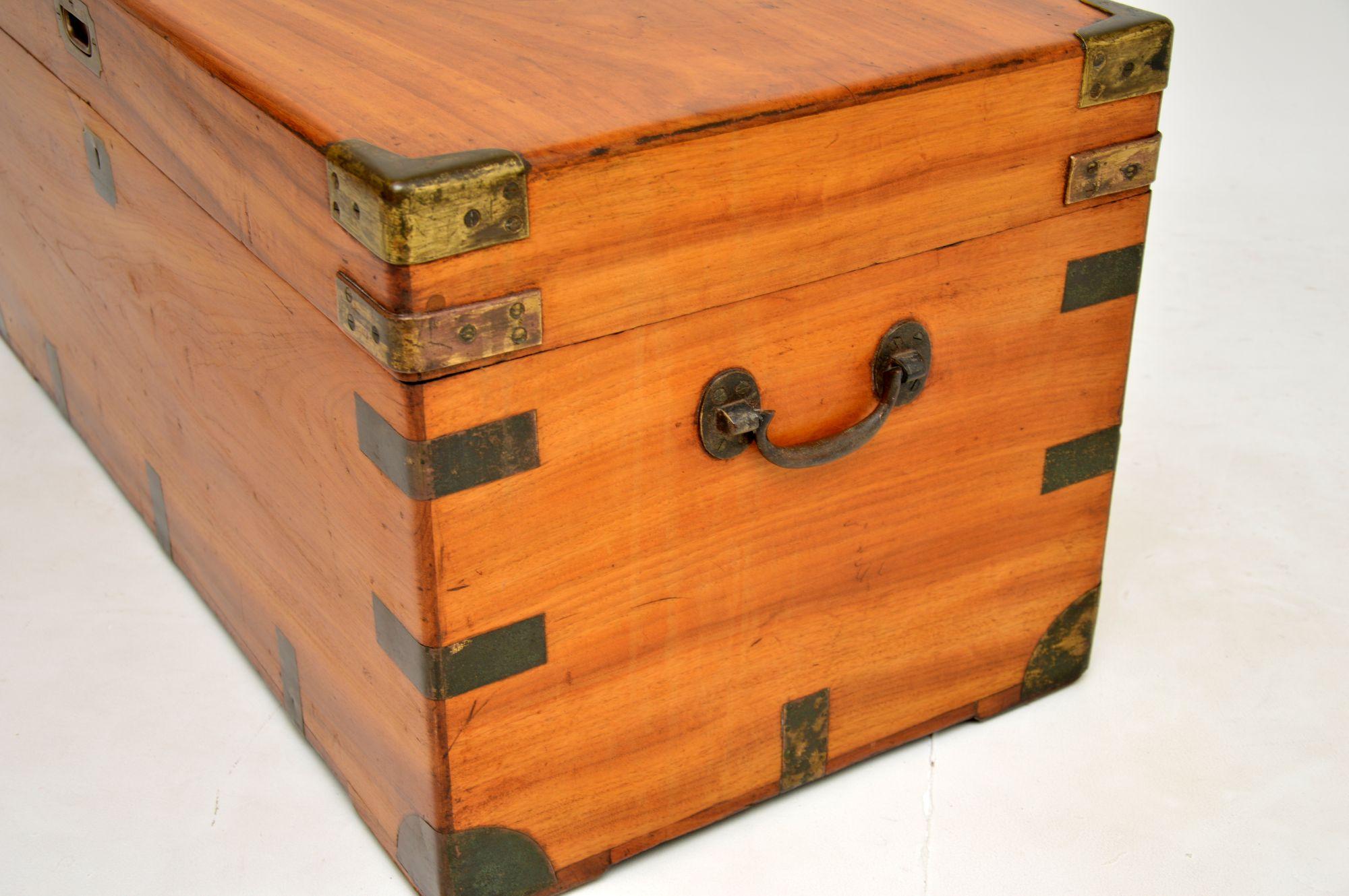 Antique Camphor Wood Military Campaign Trunk 3