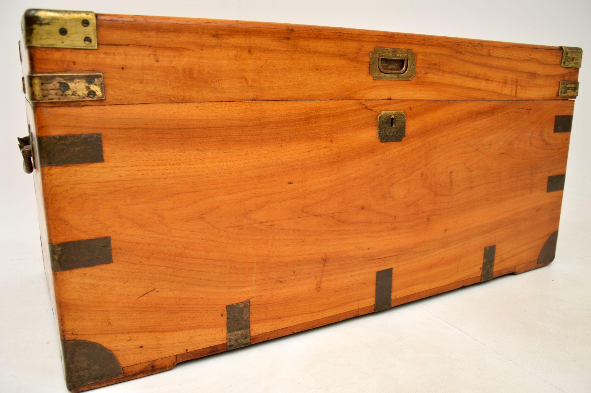 Antique Camphor Wood Military Campaign Trunk 4