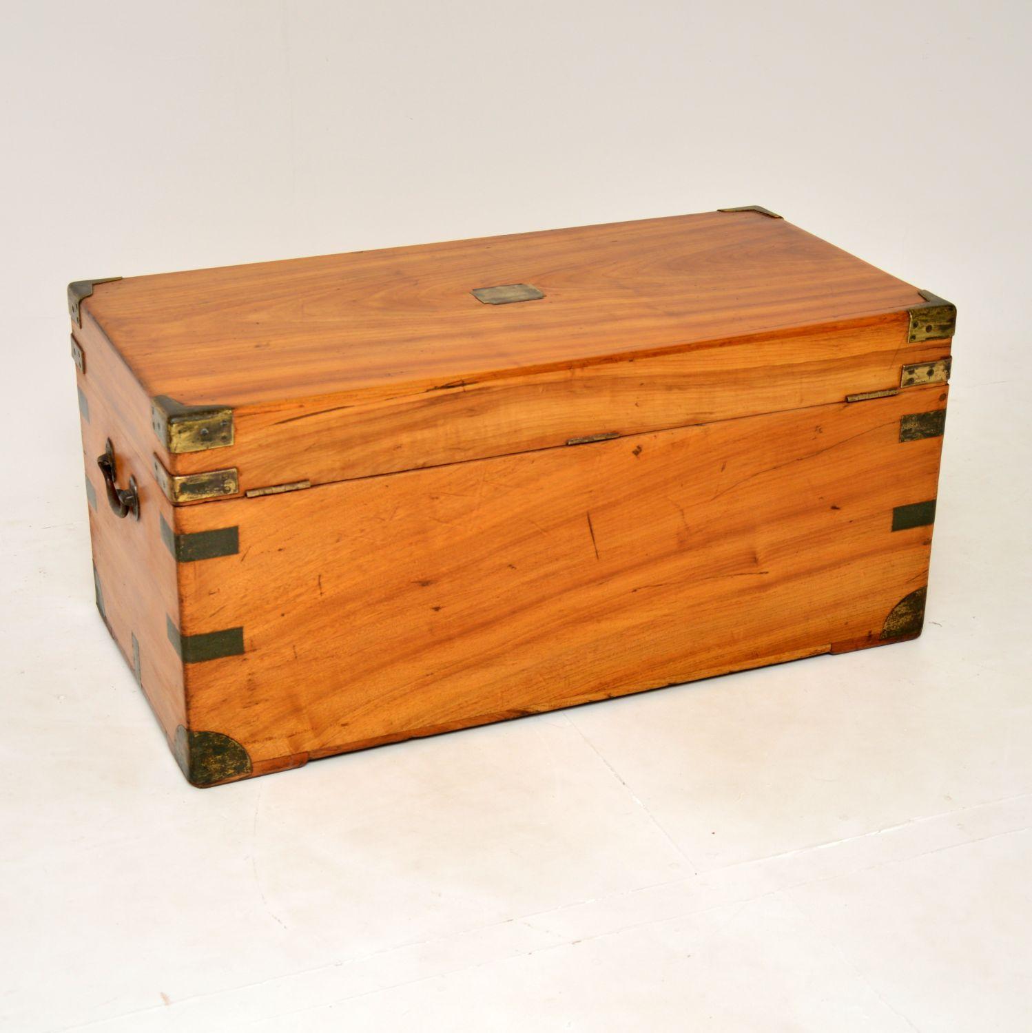 Antique Camphor Wood Military Campaign Trunk 6