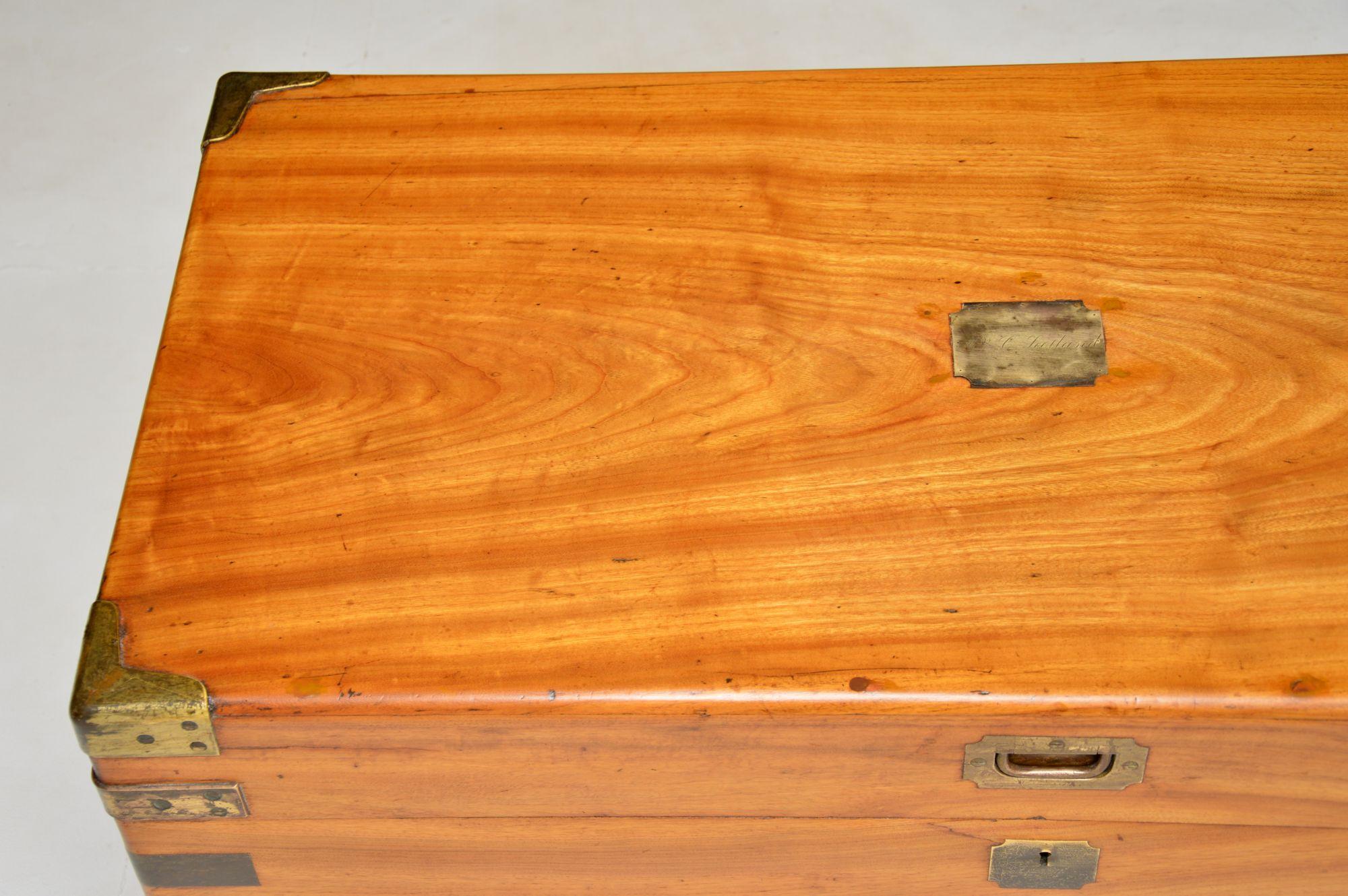 19th Century Antique Camphor Wood Military Campaign Trunk