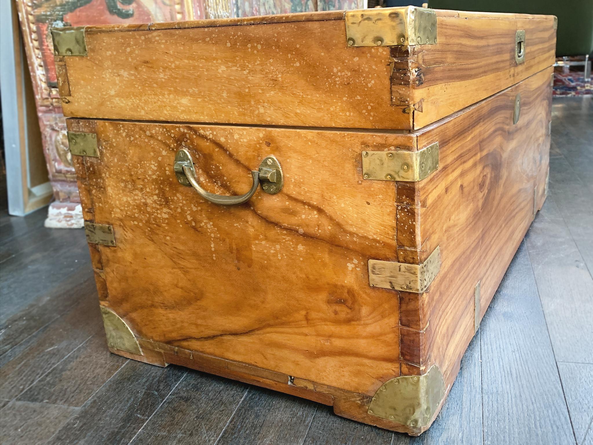 Brass Antique Camphorwood Trunk For Sale