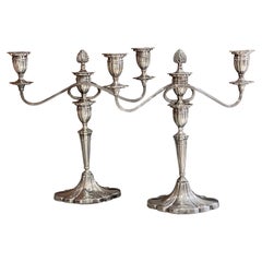 Antike Kandelaber Ein Paar elegante, antike  Sterling Silber Kerzenständer Hallmarked