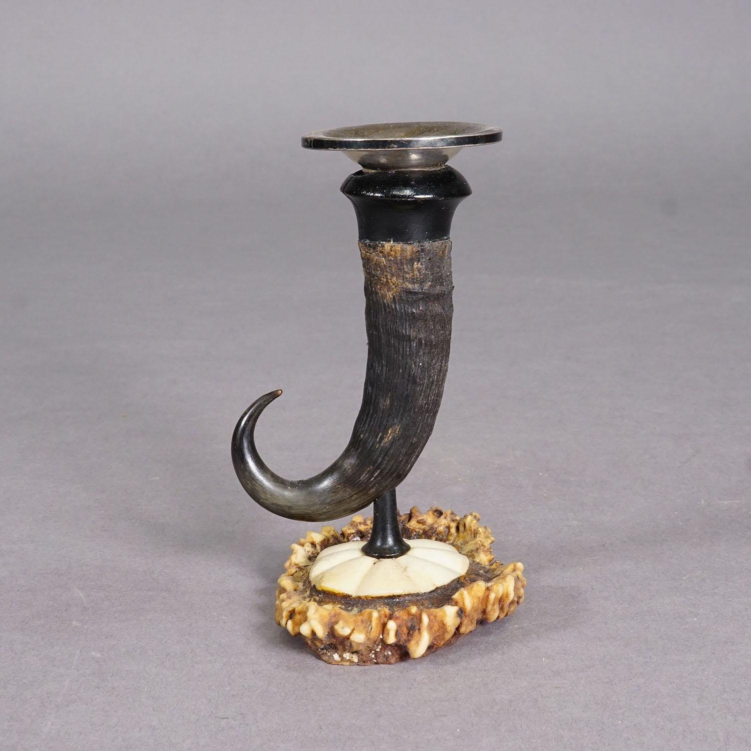 Antiguo Palo de Vela con Cuerno de Gamuza Real, circa 1900s

Un portavelas antiguo, fabricado con auténtico cuerno de gamuza y una rosa de cuerno de ciervo tallada como base. El cuerno curvado de forma natural está montado verticalmente y la parte
