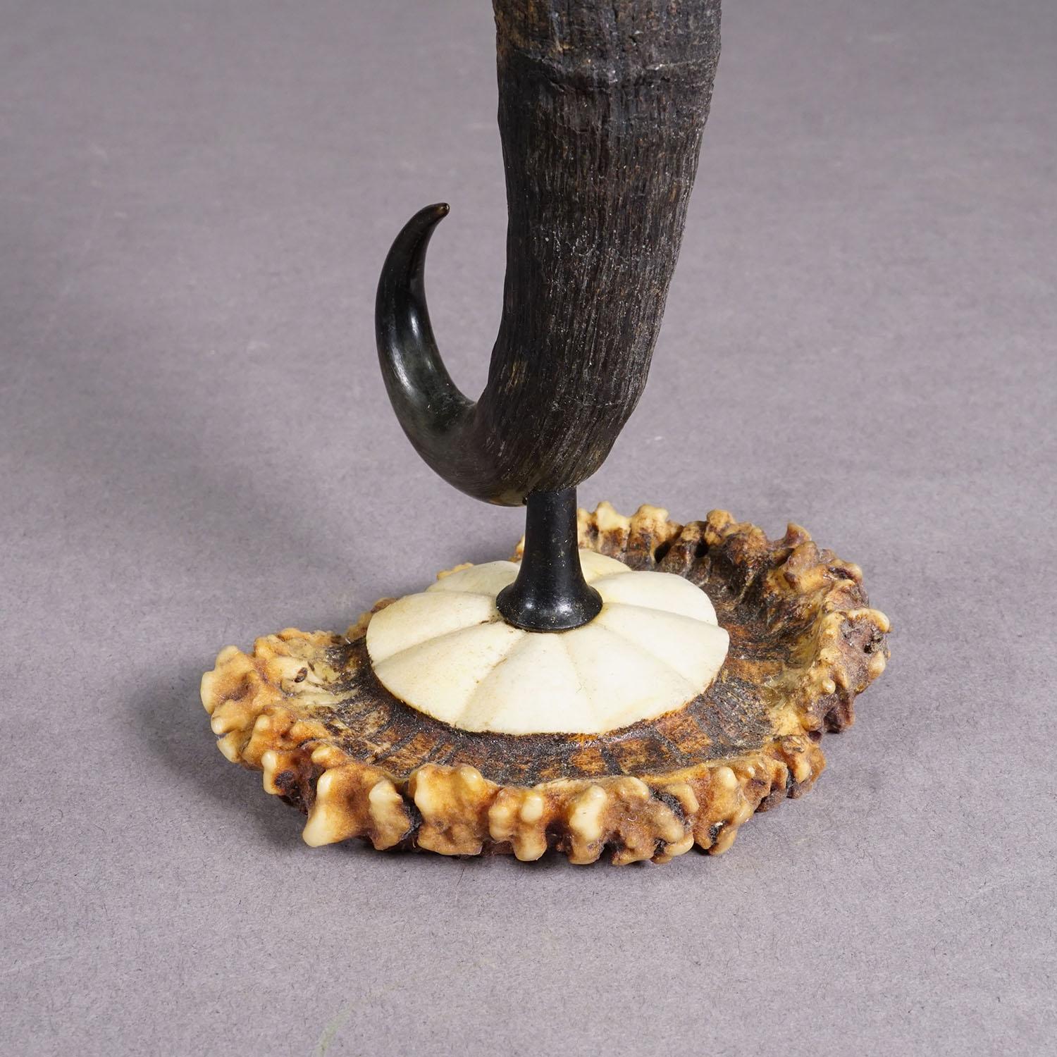 Antiguo Palo de Vela con Cuerno de Gamuza Real, circa 1900s Alemán en venta