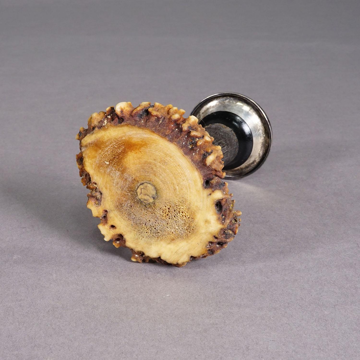 Antiguo Palo de Vela con Cuerno de Gamuza Real, circa 1900s en Bueno estado para la venta en Berghuelen, DE