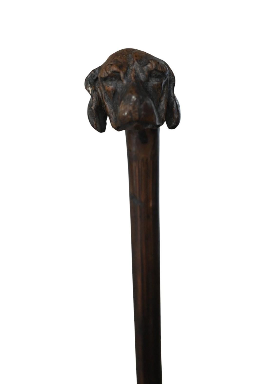 Elégante canne en bois sculpté datant d'environ 1900, ornée d'une tête de chien finement travaillée. Fabriqué en bois dur avec une belle patine foncée, il témoigne d'un savoir-faire raffiné typique du début du XXe siècle. Mesurant 84,5 cm de long