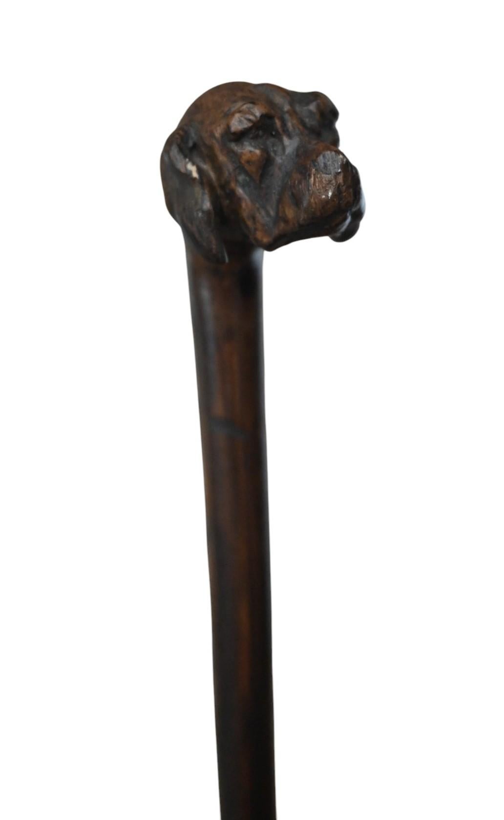 Artisanat Canne ancienne sculptée d'une tête de chien, Circa 1900 en vente