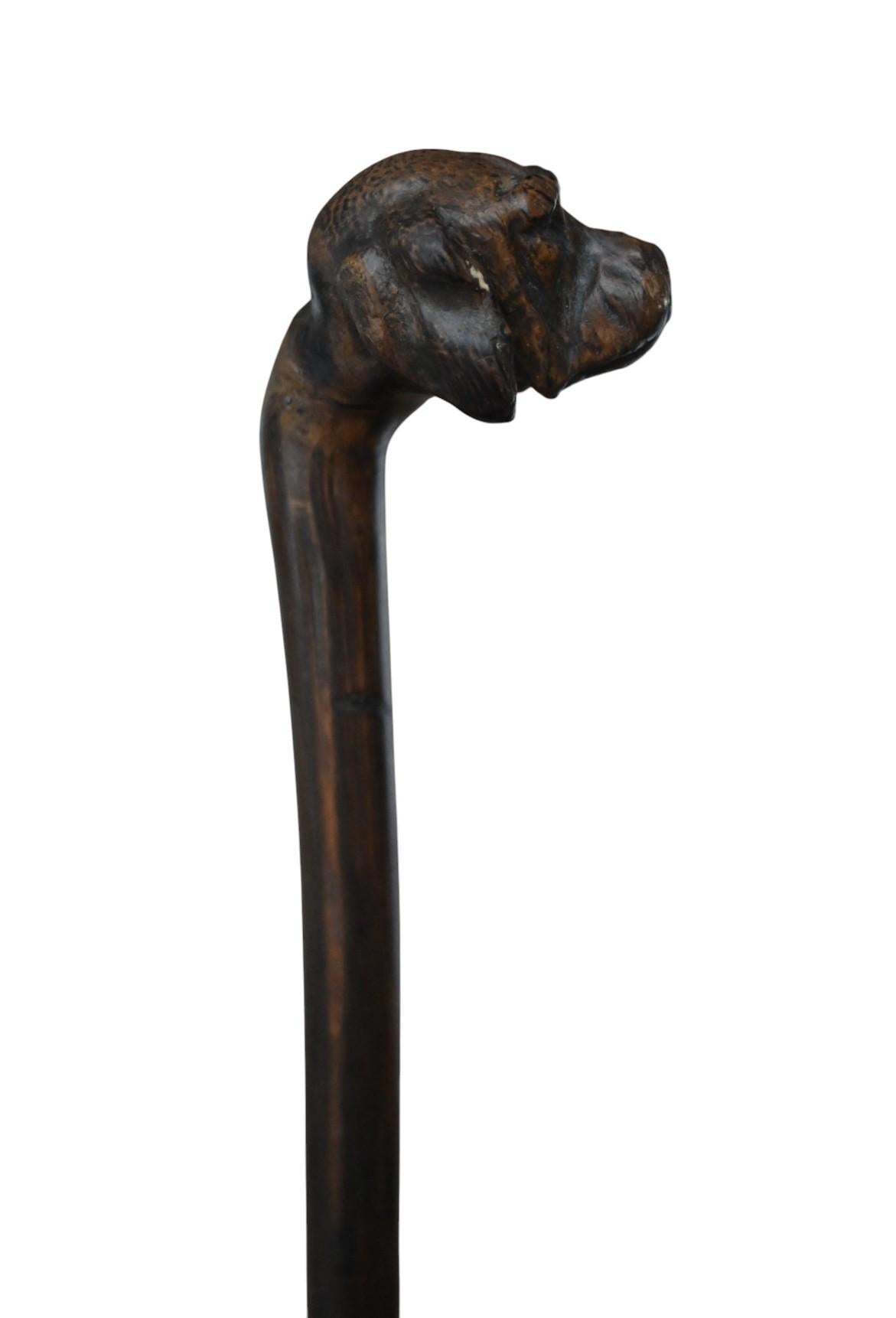 Français Canne ancienne sculptée d'une tête de chien, Circa 1900 en vente