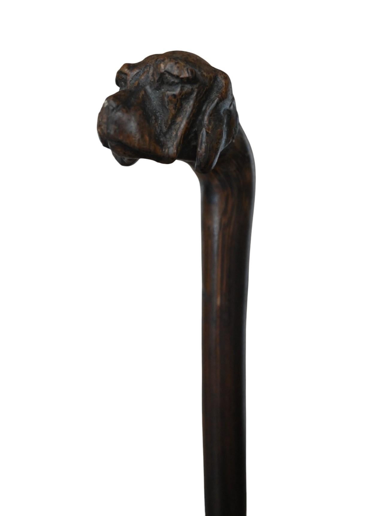 Canne ancienne sculptée d'une tête de chien, Circa 1900 Bon état - En vente à Bilzen, BE