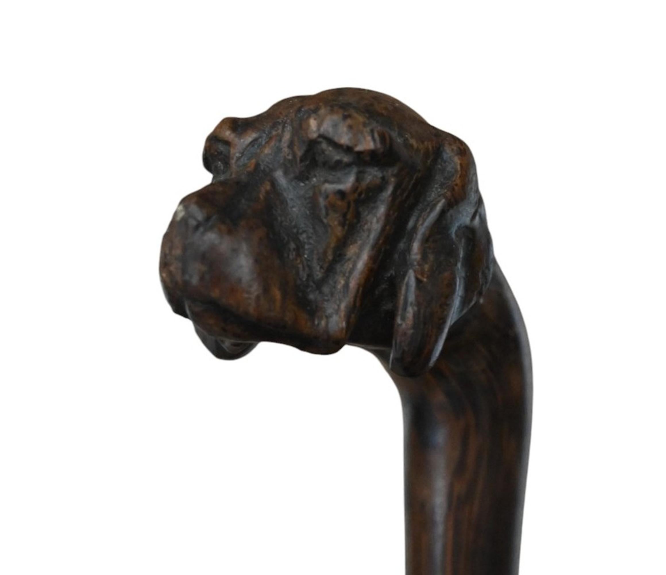 20ième siècle Canne ancienne sculptée d'une tête de chien, Circa 1900 en vente