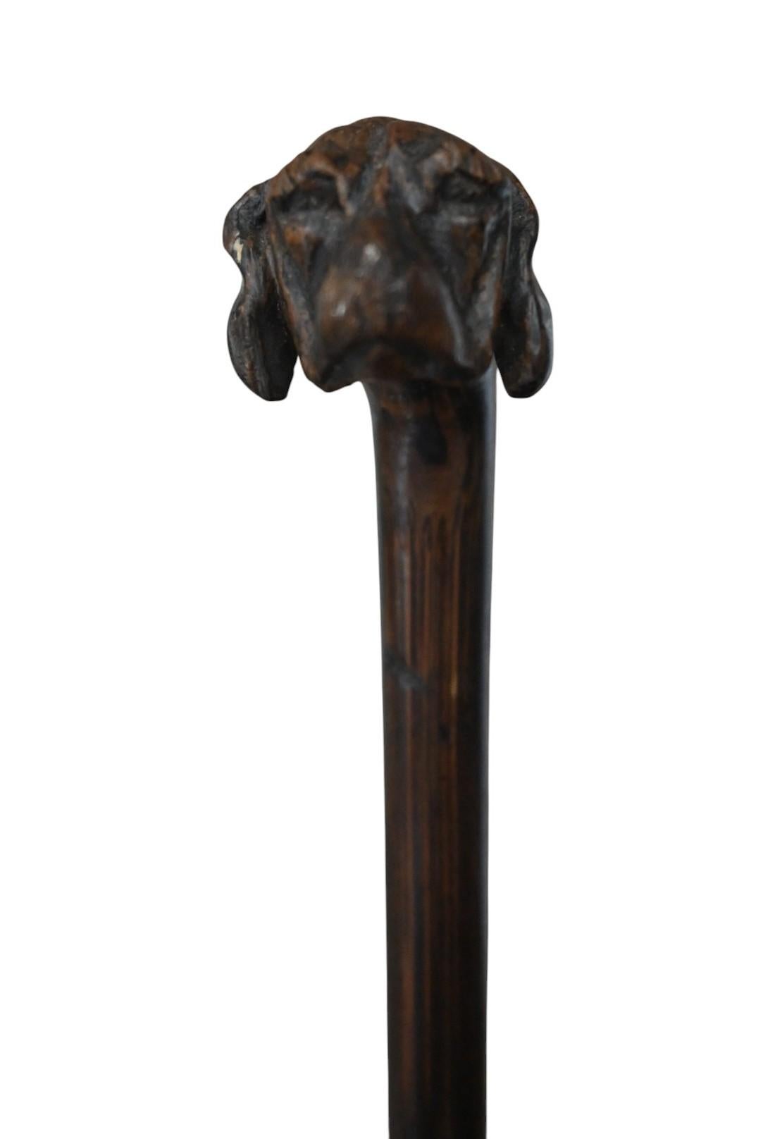 Bois Canne ancienne sculptée d'une tête de chien, Circa 1900 en vente