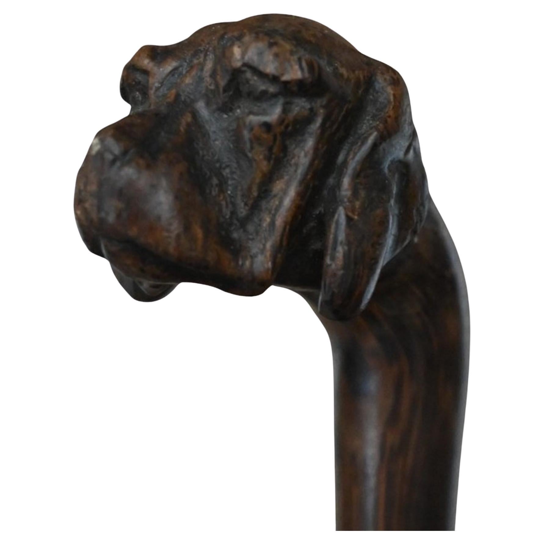 Canne ancienne sculptée d'une tête de chien, Circa 1900 en vente