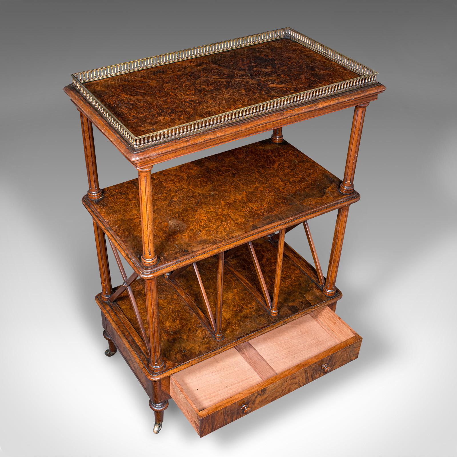 Brass Antique Canterbury Whatnot, English Burr Walnut, Display Stand, Etagere, Regency For Sale