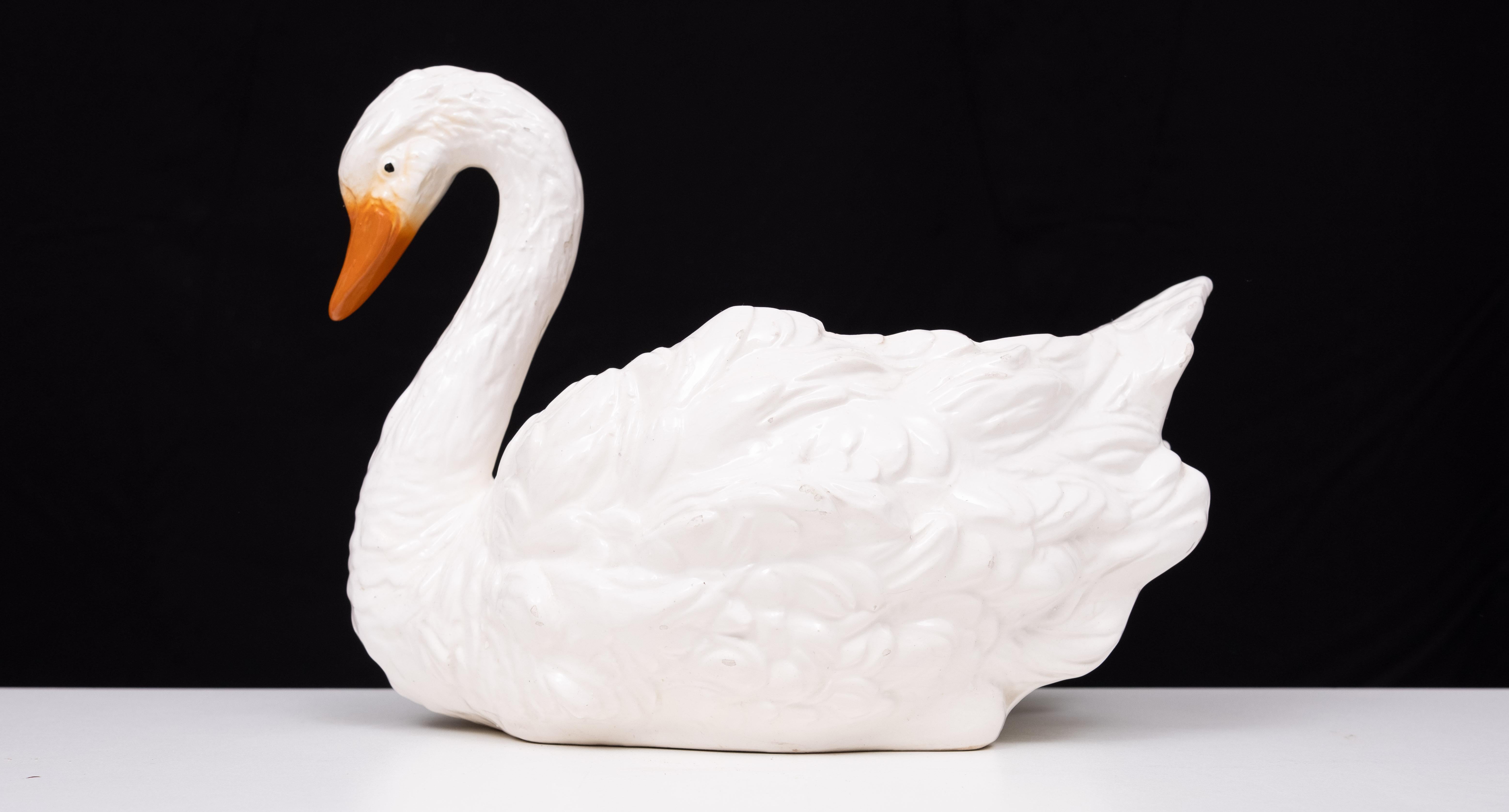 Italian Antique Capodimonte Ceramic Swan jardiniere  1880 For Sale
