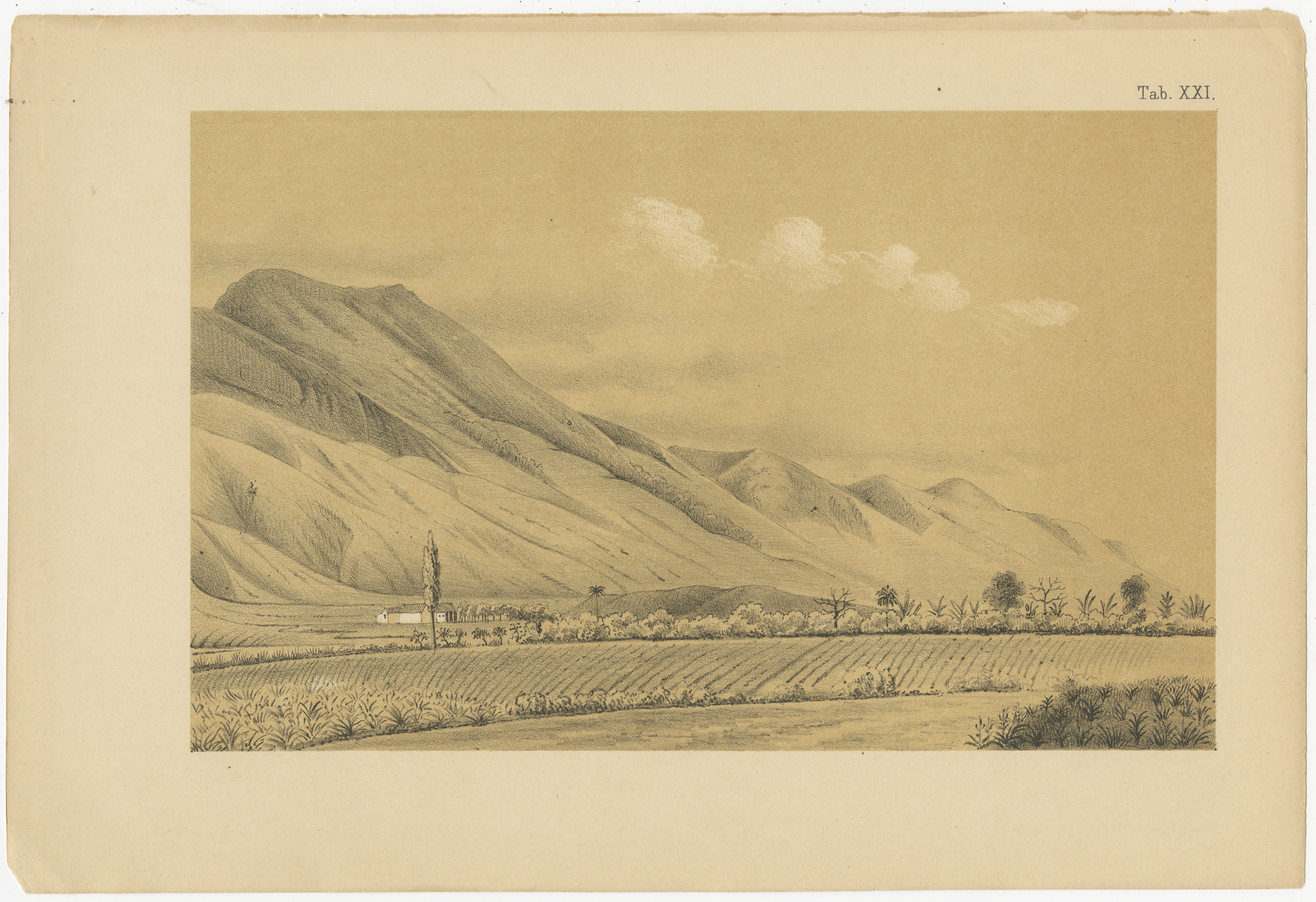 Ancienne lithographie teintée Caracas Venezuela Monte Ávila Landscape 1888

Cette lithographie teintée raffinée du XIXe siècle représente une large vallée agricole à la périphérie de Caracas, au Venezuela, avec l'imposante chaîne de montagnes du