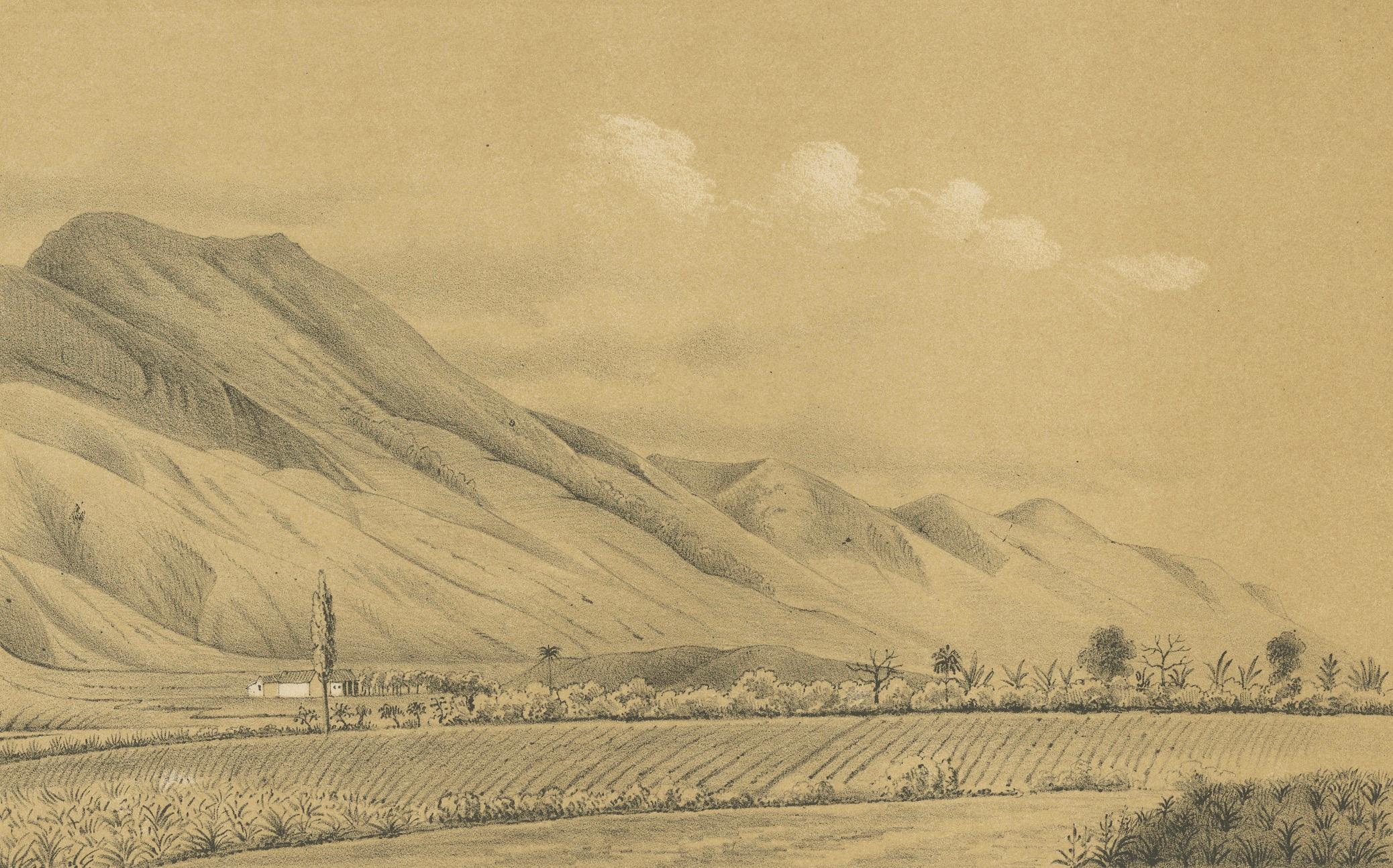 Néerlandais Antique Caracas Venezuela Monte Ávila Landscape - Lithographie teintée, 1888 en vente
