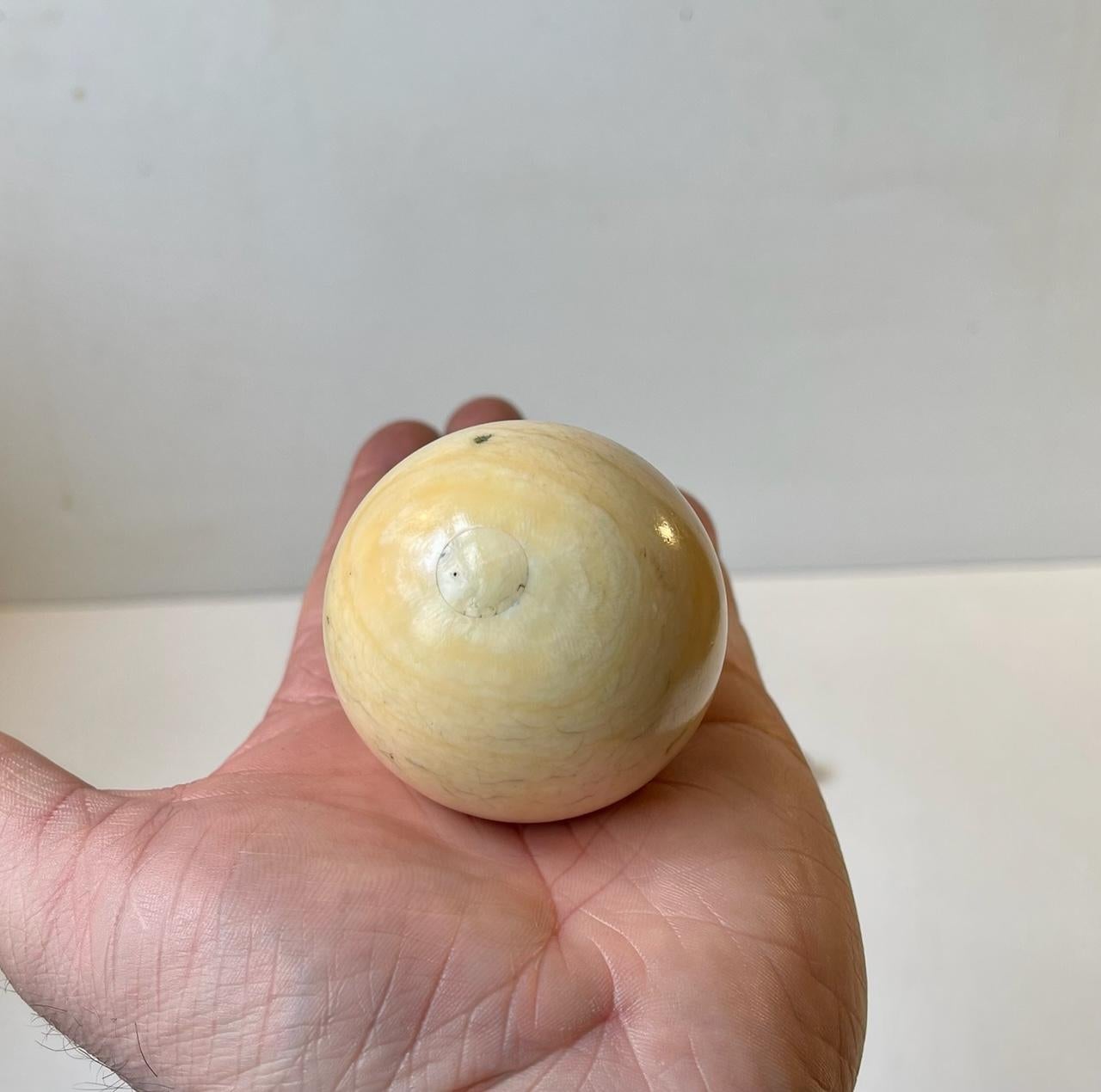 Now serving as a decorative tooth sphere this was originally an object designed for Caram Billiards which was invented in France prior to 1730. This particular cue ball dates to between 1850 to 1880s. Cites regulations does not apply to objects