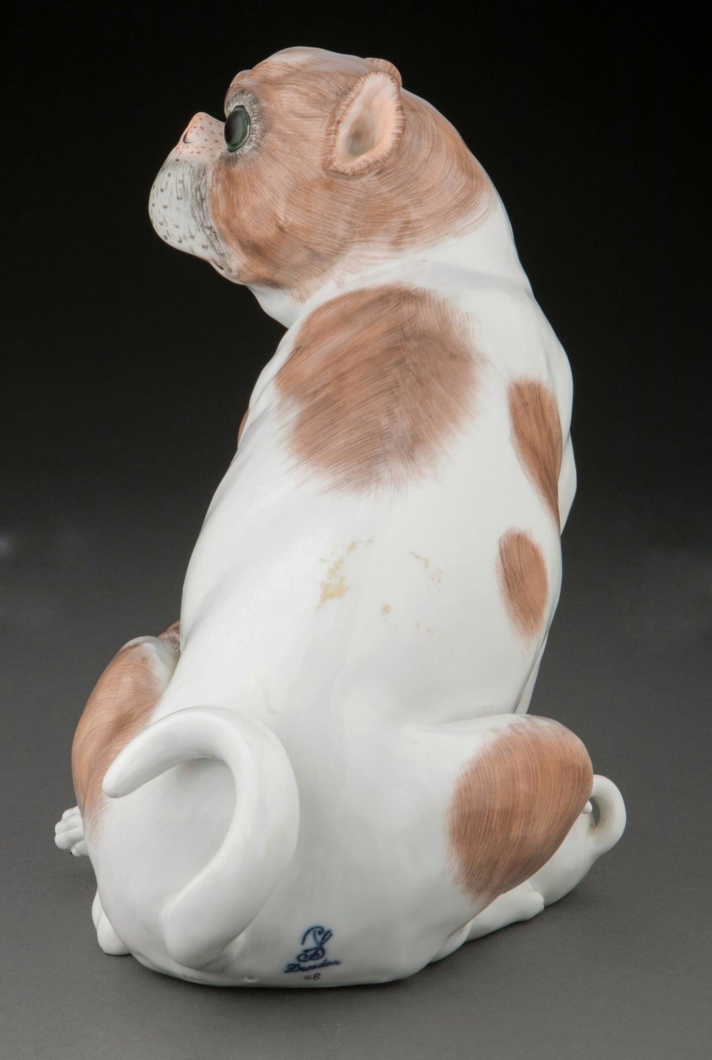 Victorian Antique Carl Thieme Dresden Porcelain Figural Pug Dogs For Sale