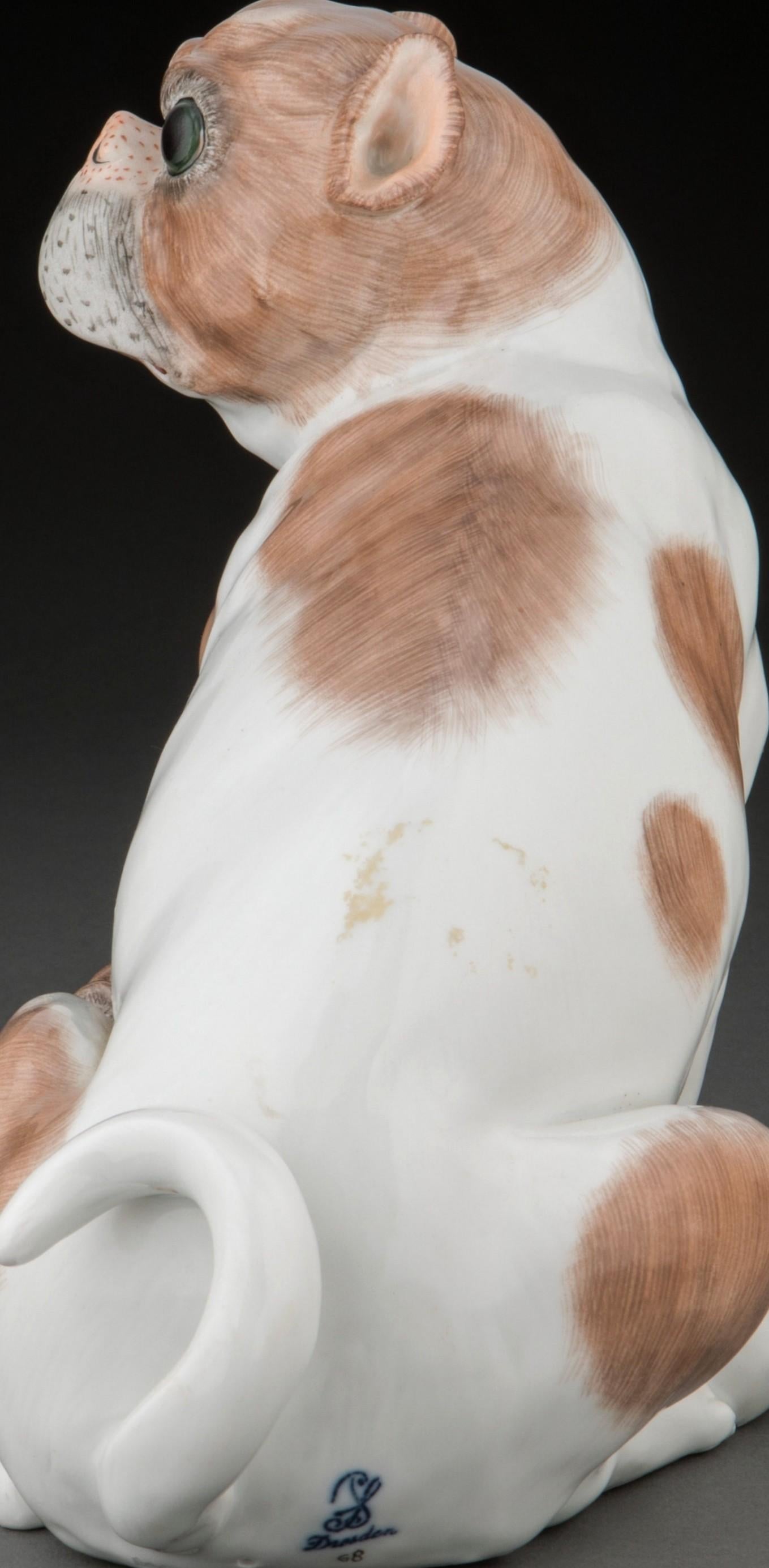 Porcelaine Antiquités Carl Thieme Dresden Porcelain Figural Pug Dogs en vente