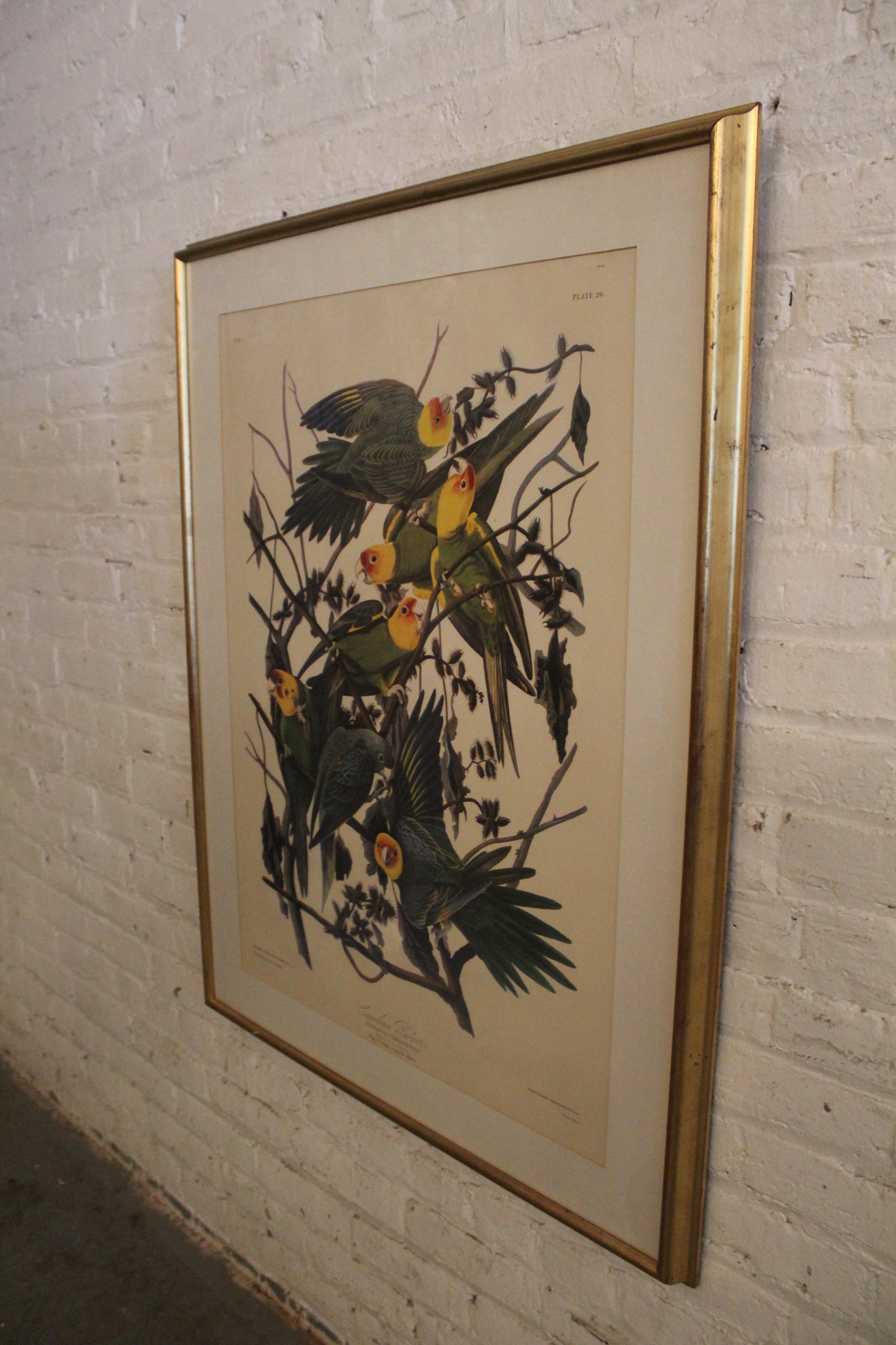 Antique Carolina Parrot Lithograph by John J. Audubon In Good Condition For Sale In Brooklyn, NY
