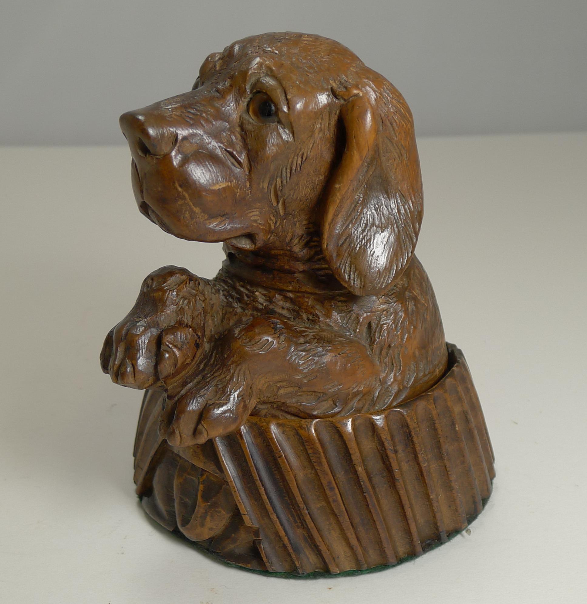 A beautifully carved novelty Victorian inkwell from the Victorian era, having been made in the Black Forest region. The dog has the most lovely face, made better with his two wonderful glass eyes.

The hinged lid lifts to reveal the cream ceramic