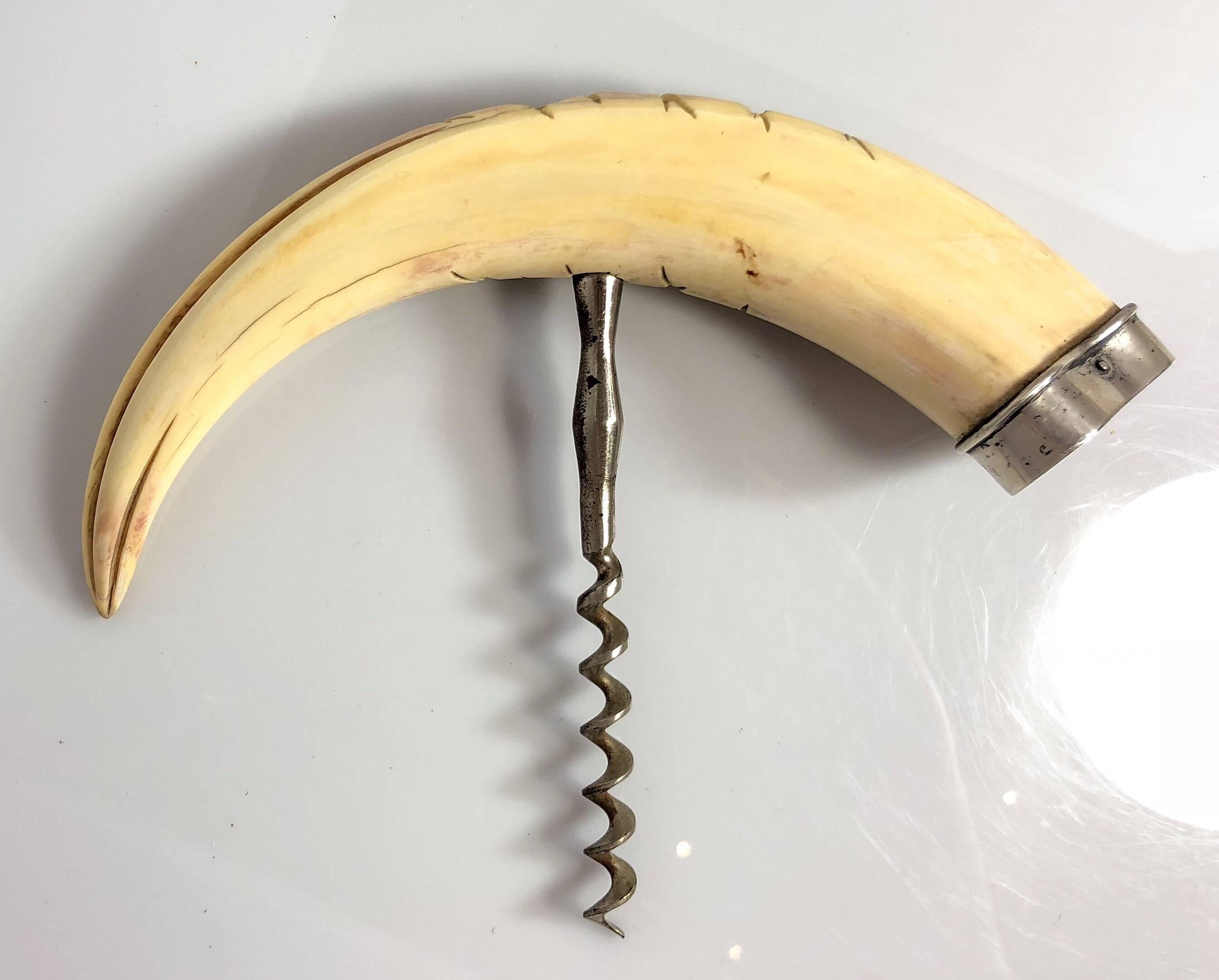 Antique carved boar's tusk corkscrew, 