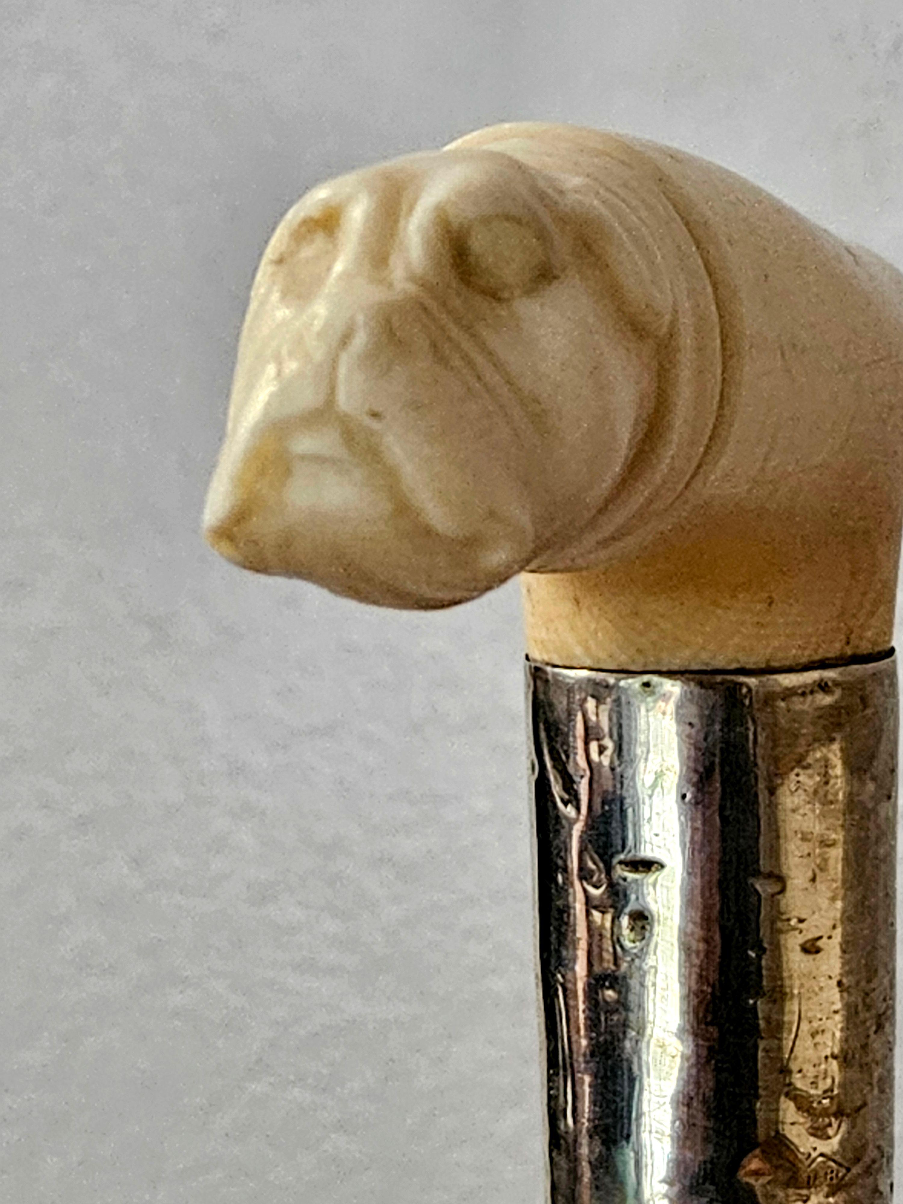 Antique Carved Bone Bulldog Head Walking Stick Cane Signed 