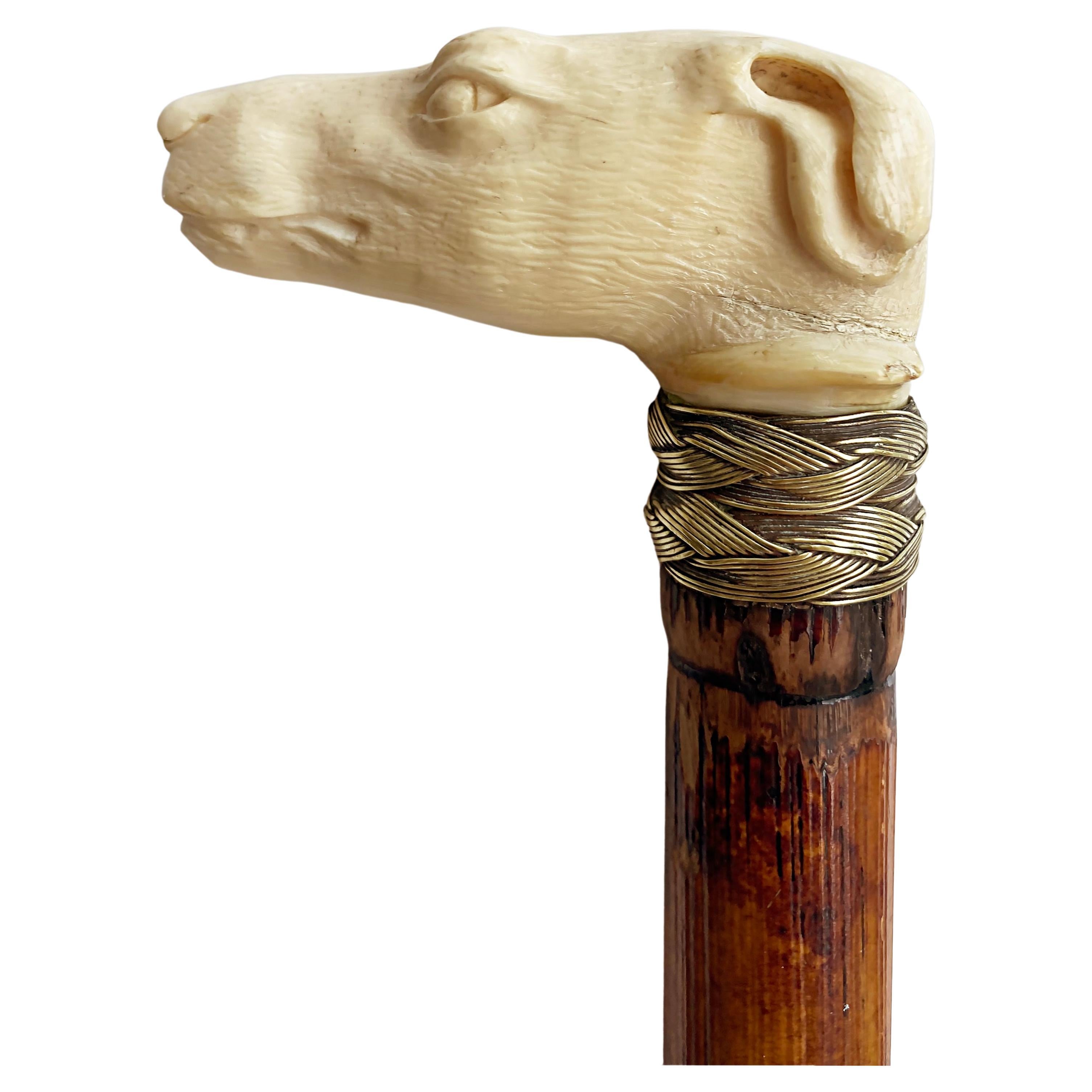 Antique Carved Bone Greyhound Dog Bamboo Walking Stick with Braided Banding
