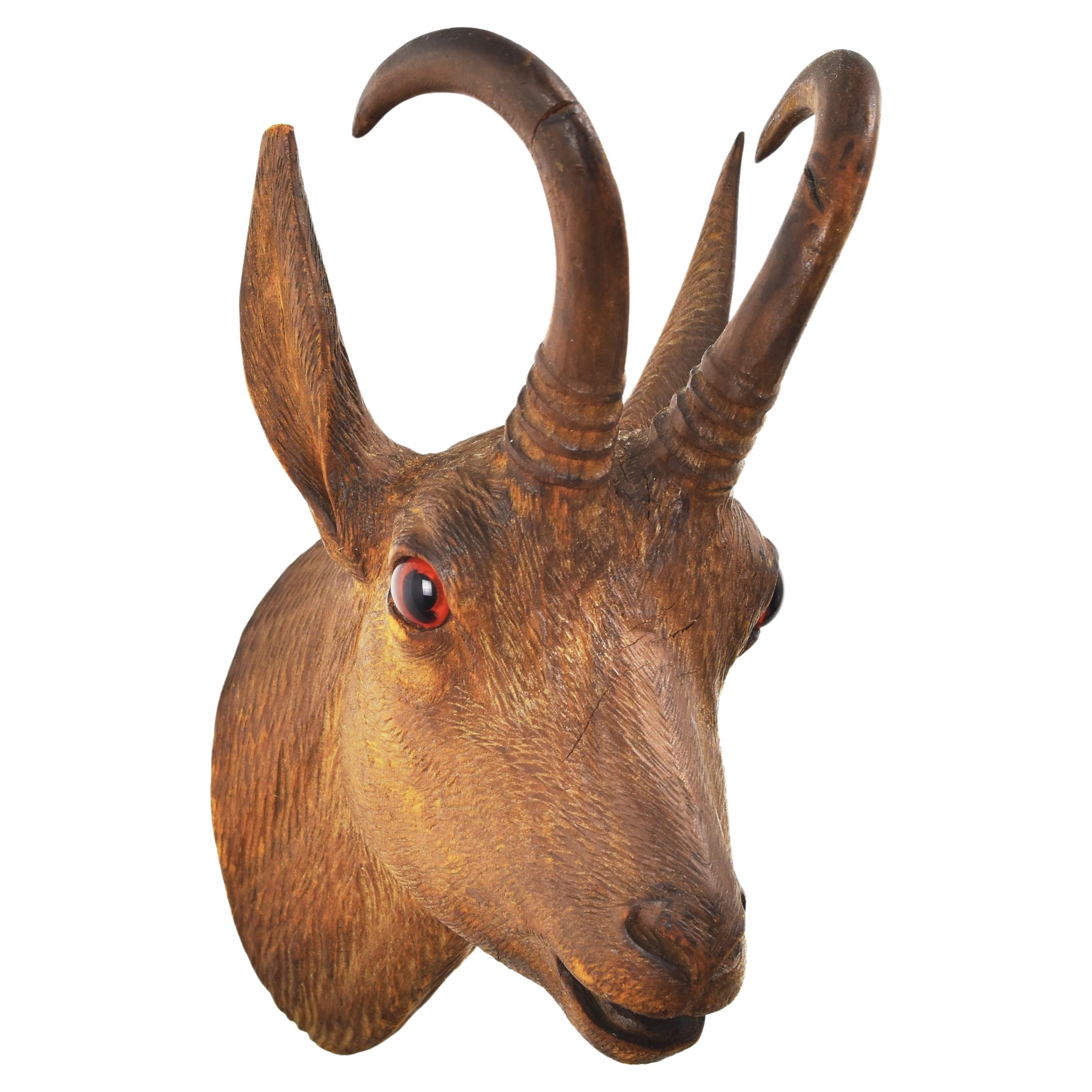 This exquisite antique wall-mounted buck head showcases the exceptional craftsmanship of woodcarving, likely originating from the Brienz or the Black Forest region, renowned for its intricate and realistic carvings. The piece features lifelike