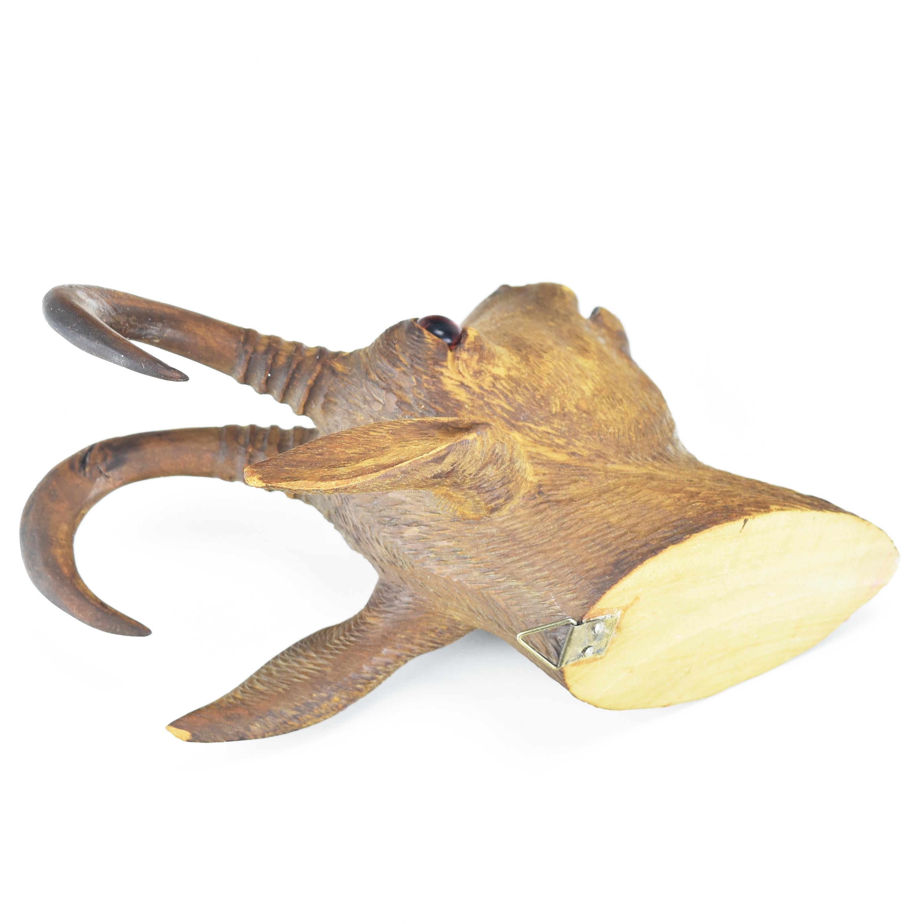 Antique Carved Buck Head Brienz Black Forest Wood Carving Glass Eyes For Sale 2