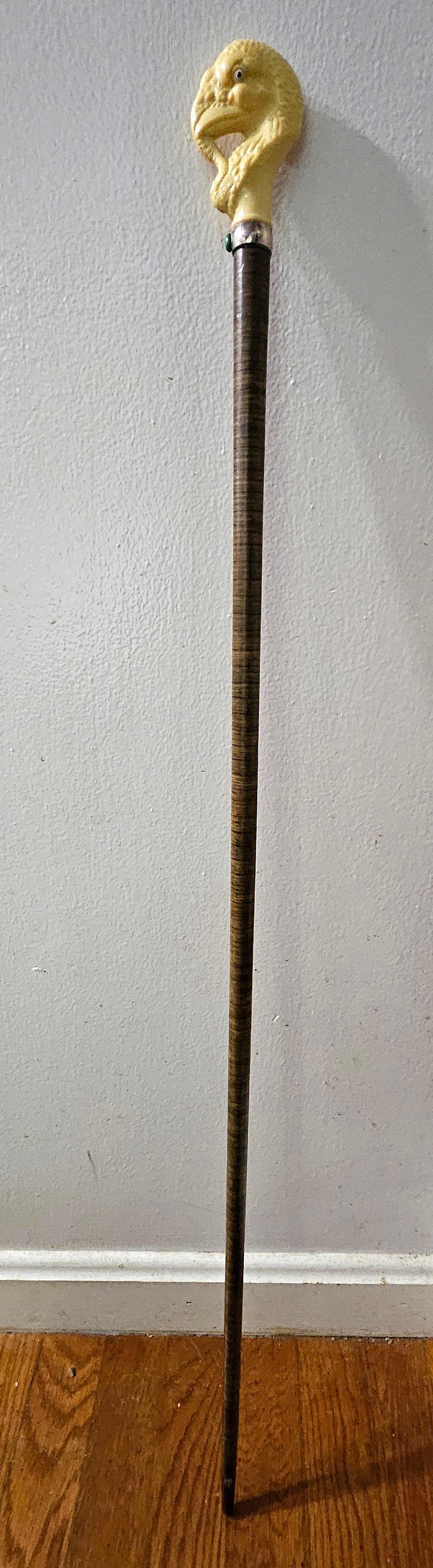 Canne ancienne en celluloïd sculpté à tête de dinde avec un manche flexible (lourd) et un collier en argent, une perle de turquoise verte, et un embout de corne à la base de la canne.



 