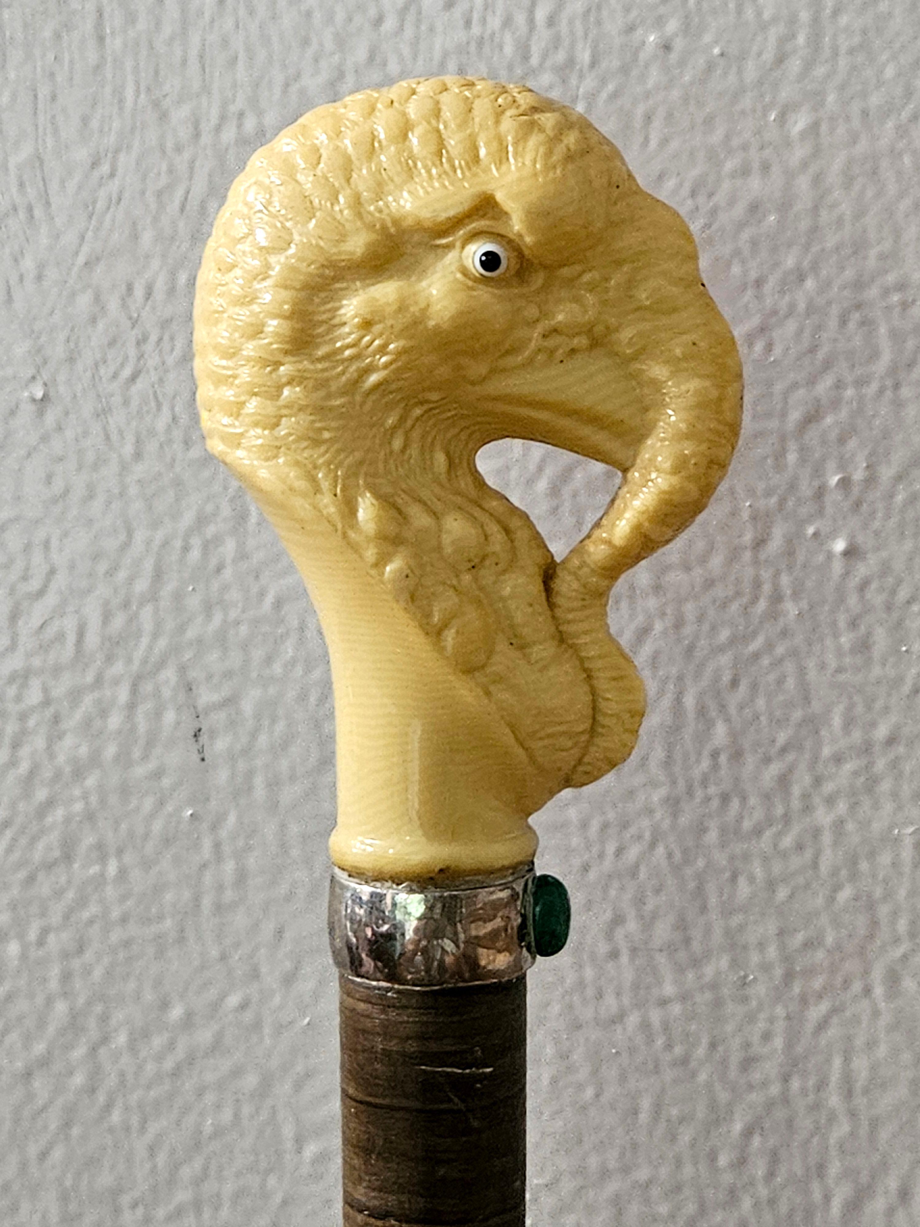 20ième siècle Canne bâton de marche antique en celluloïd sculpté à tête de dinde en vente