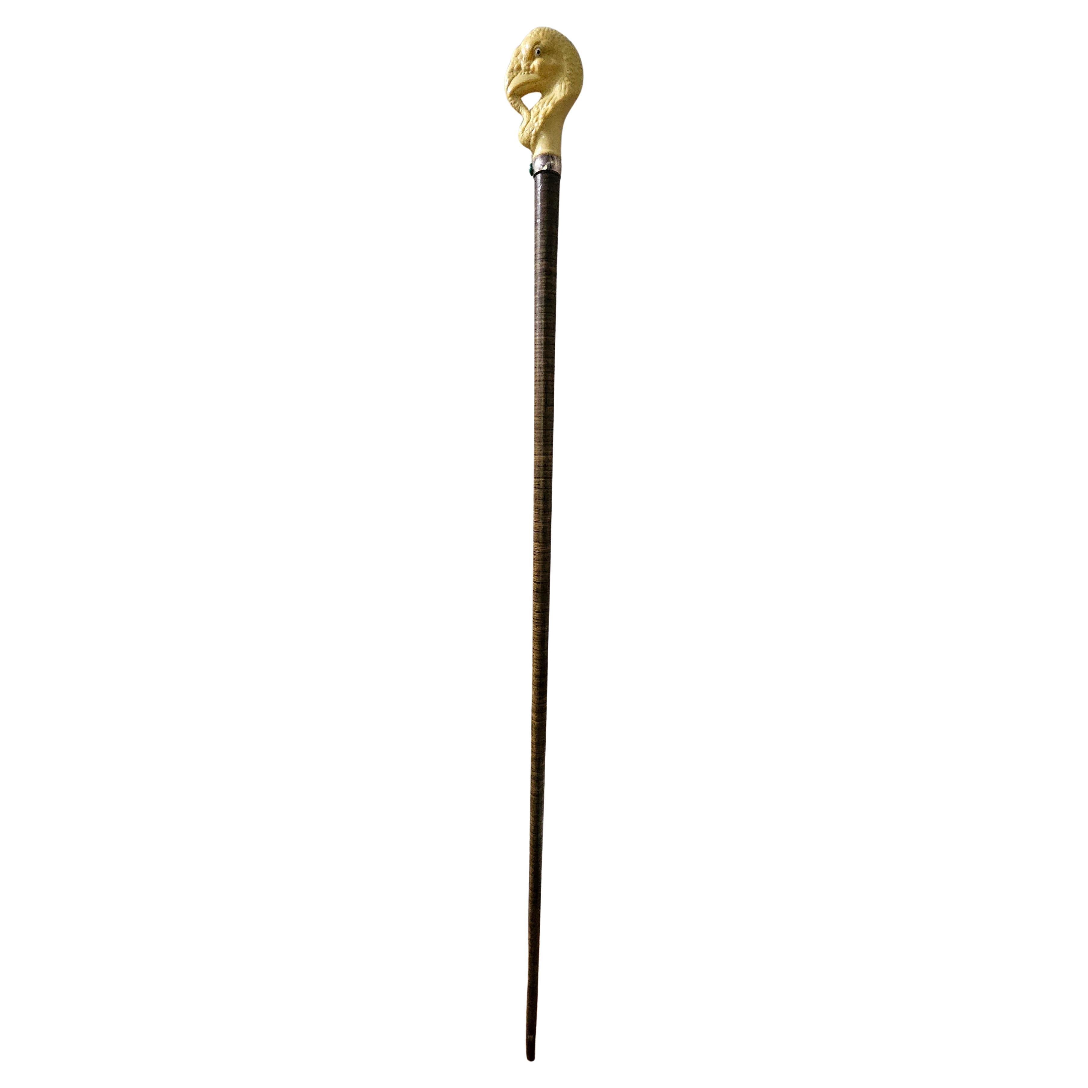 Canne bâton de marche antique en celluloïd sculpté à tête de dinde en vente