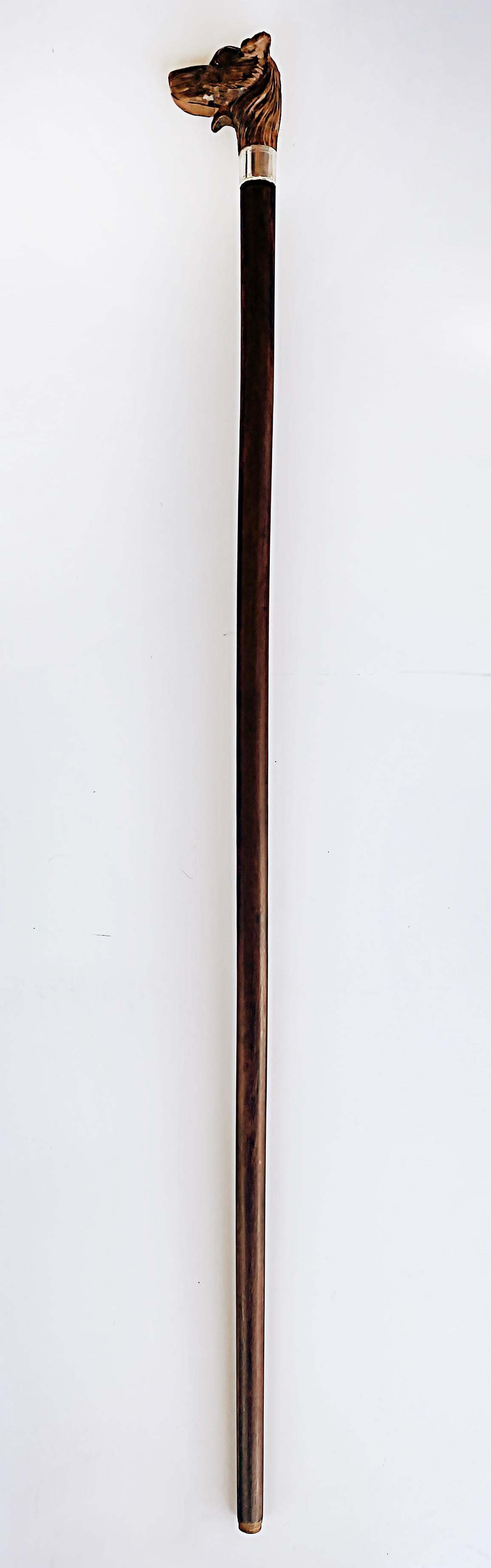 Édouardien Ancienne canne porte-gant pour chien sculptée avec bandeau argenté en vente