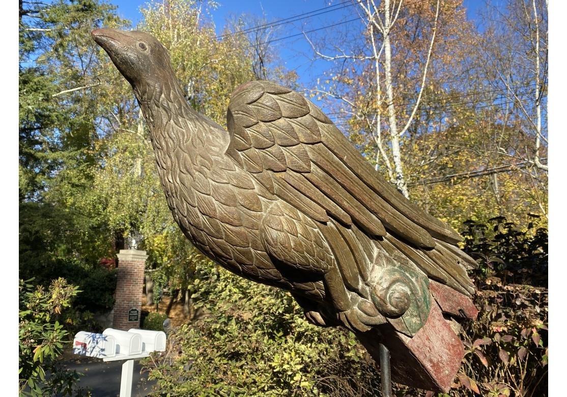 Antique Carved Eagle Form Architectural Decorative Element For Sale 5