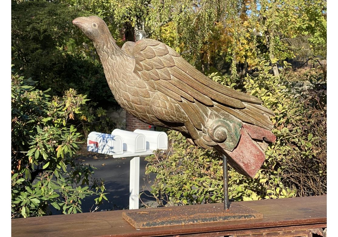 Antique Carved Eagle Form Architectural Decorative Element For Sale 8
