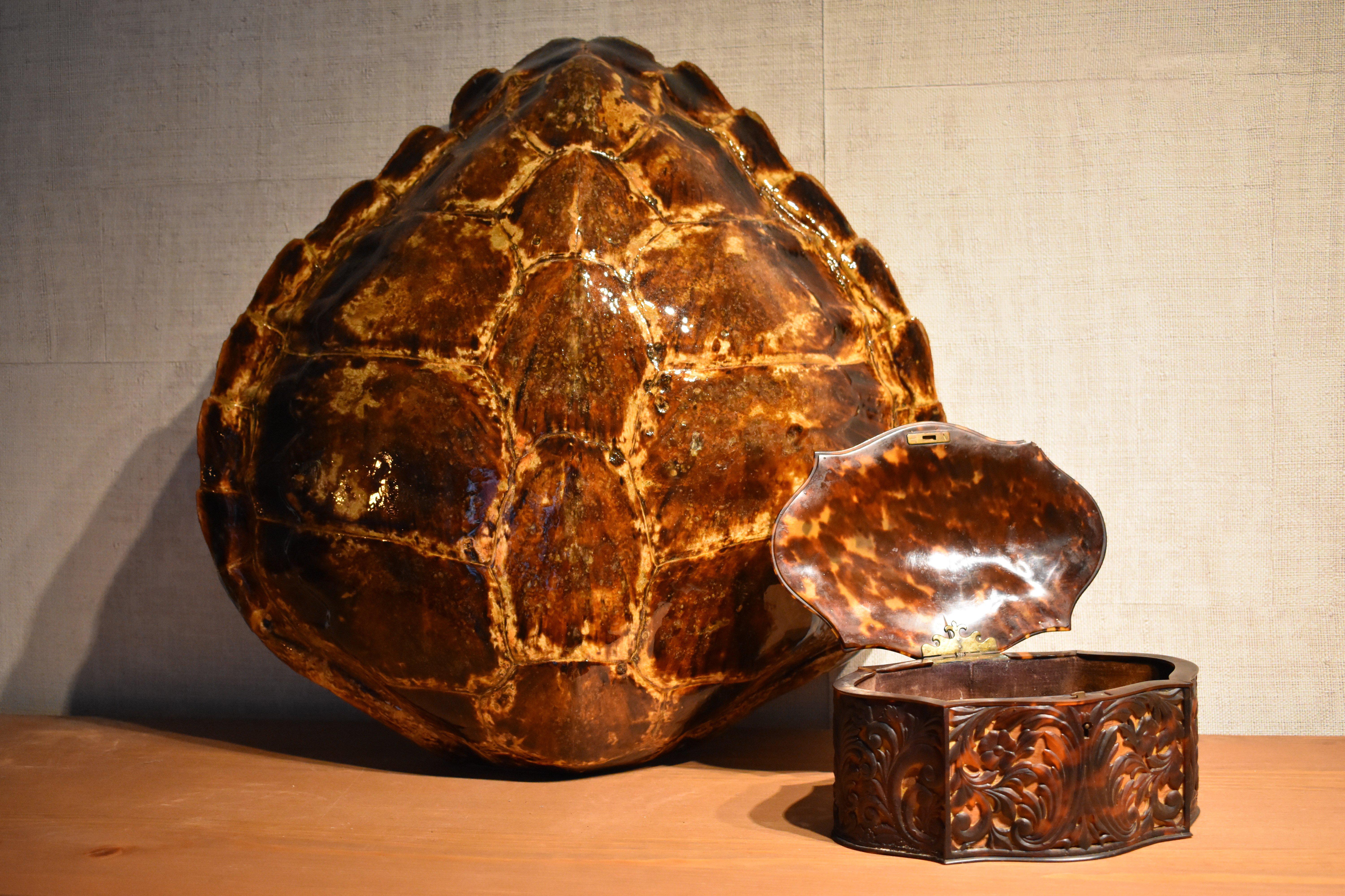 Early 20th Century FINAL SALE Antique Carved Faux Tortoiseshell Jewelry Box For Sale