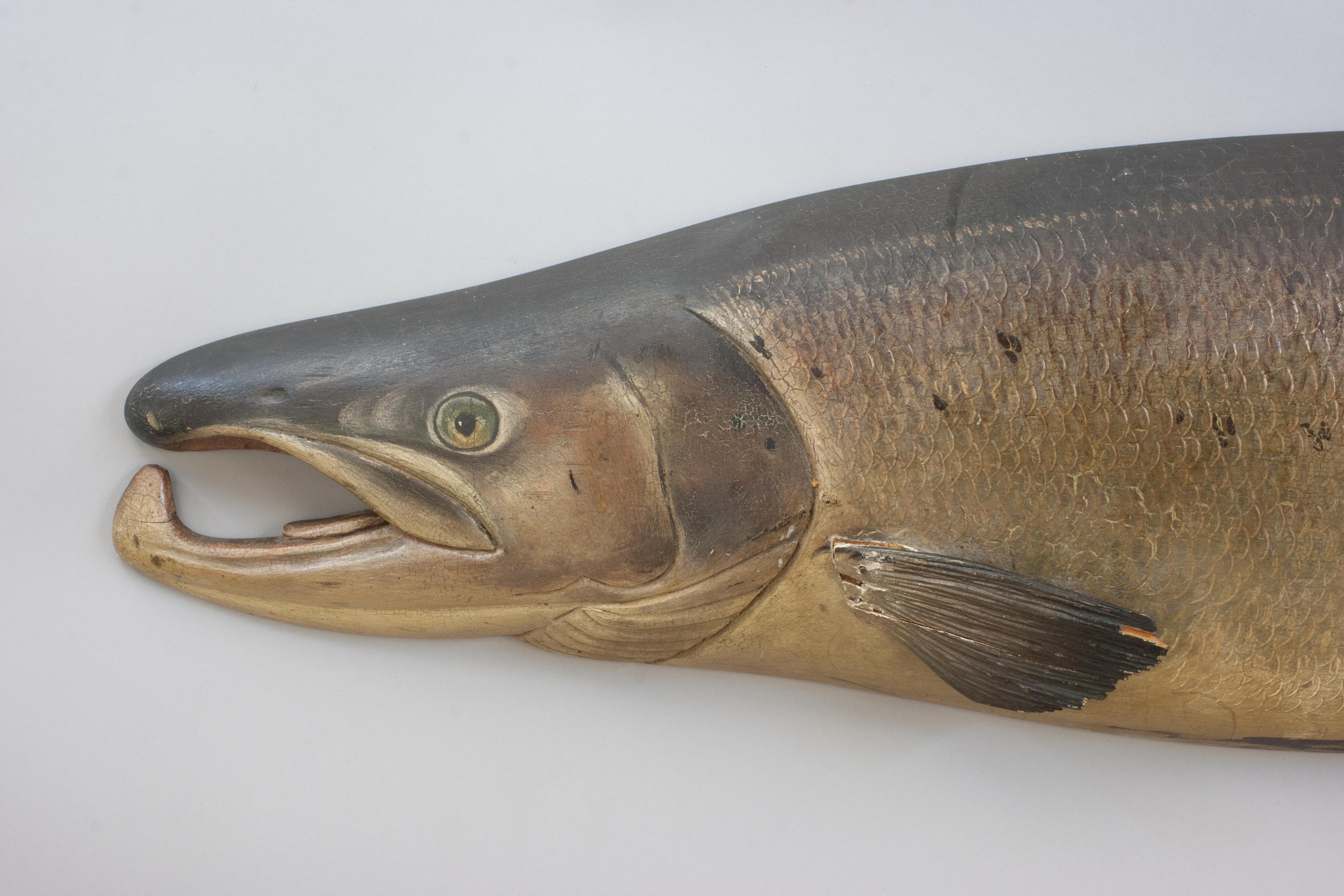 Antique Carved Fish Trophy of a Fochaber Salmon. For Sale 2