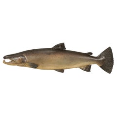 Antique Carved Fish Trophy of a Fochaber Salmon.