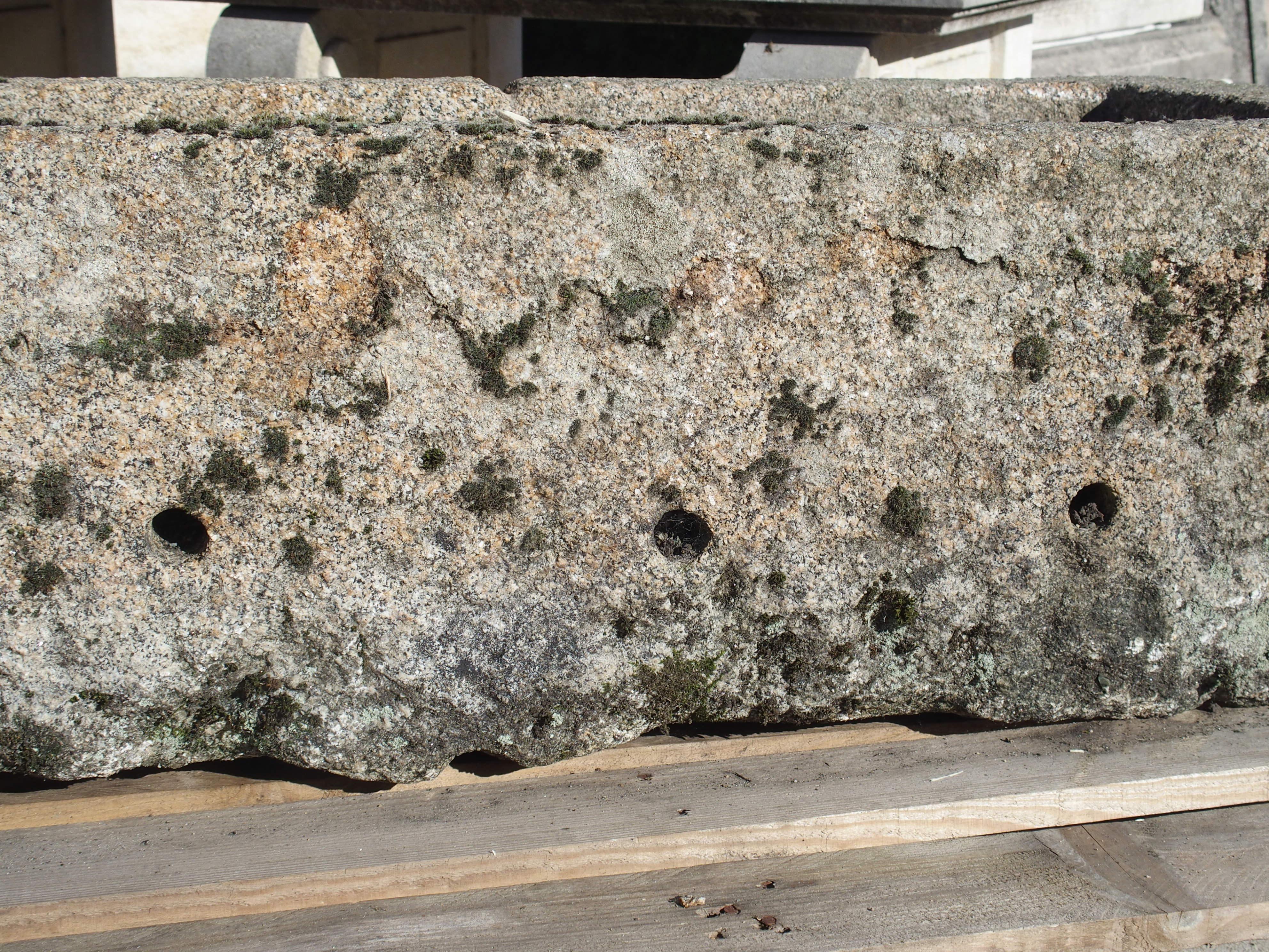 Antiguo Comedero de Granja de Granito Tallado de Normandía, Francia, Siglo XIX Tallado a mano en venta