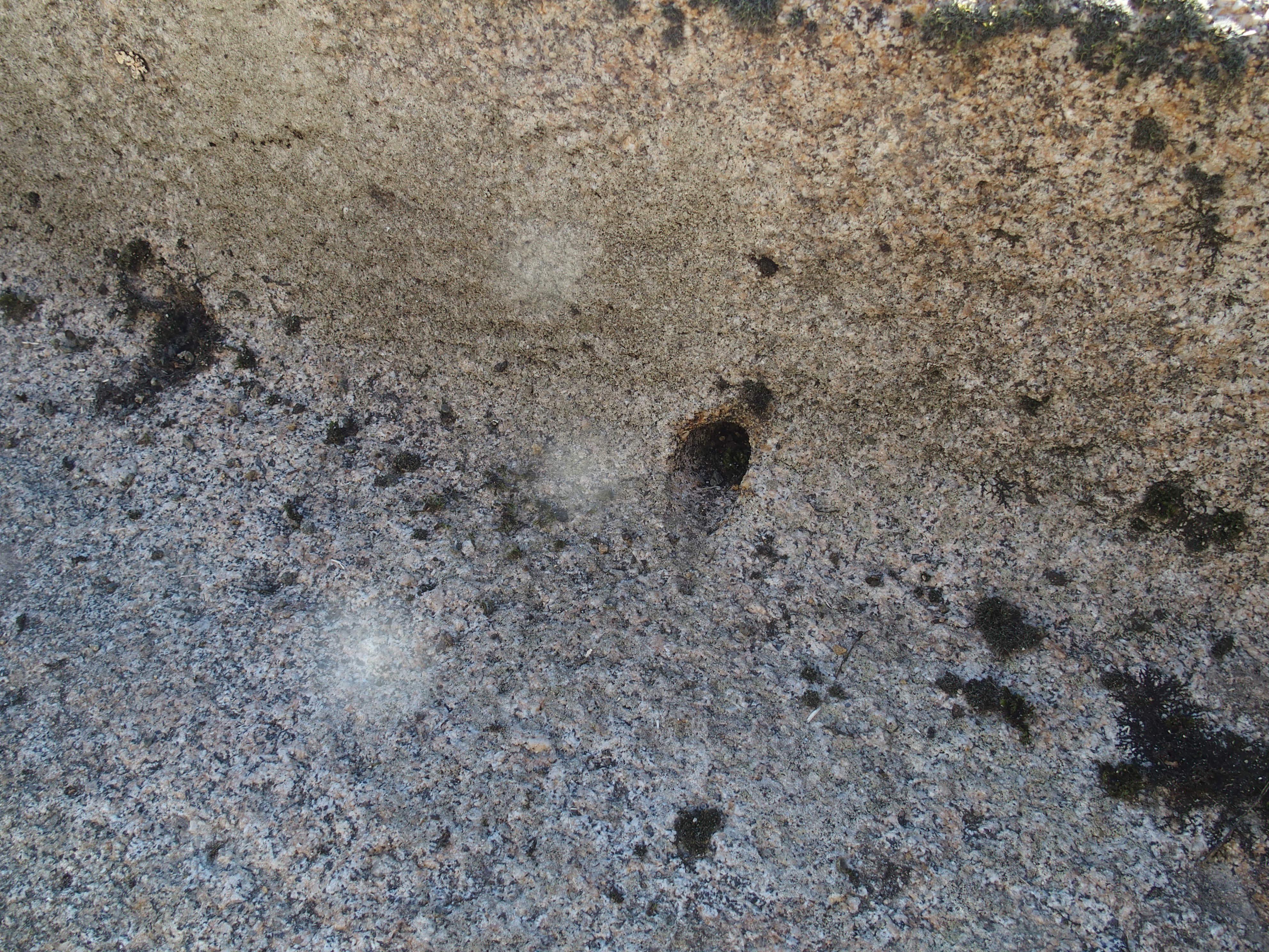Antiguo Comedero de Granja de Granito Tallado de Normandía, Francia, Siglo XIX Piedra en venta