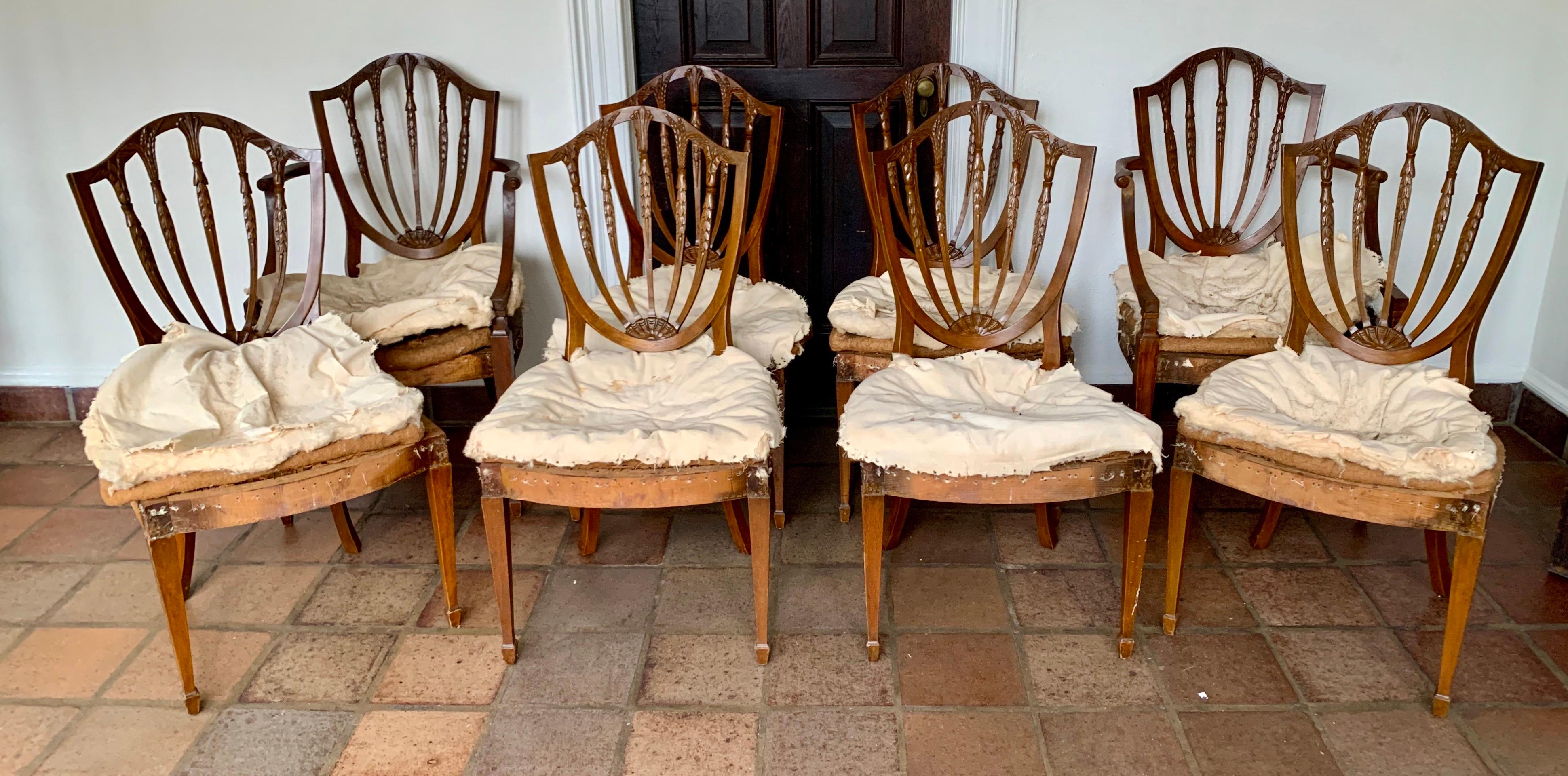 Antique Carved Mahogany Hepplewhite Wheat Shield Back Dining Chairs, circa 1840s 7