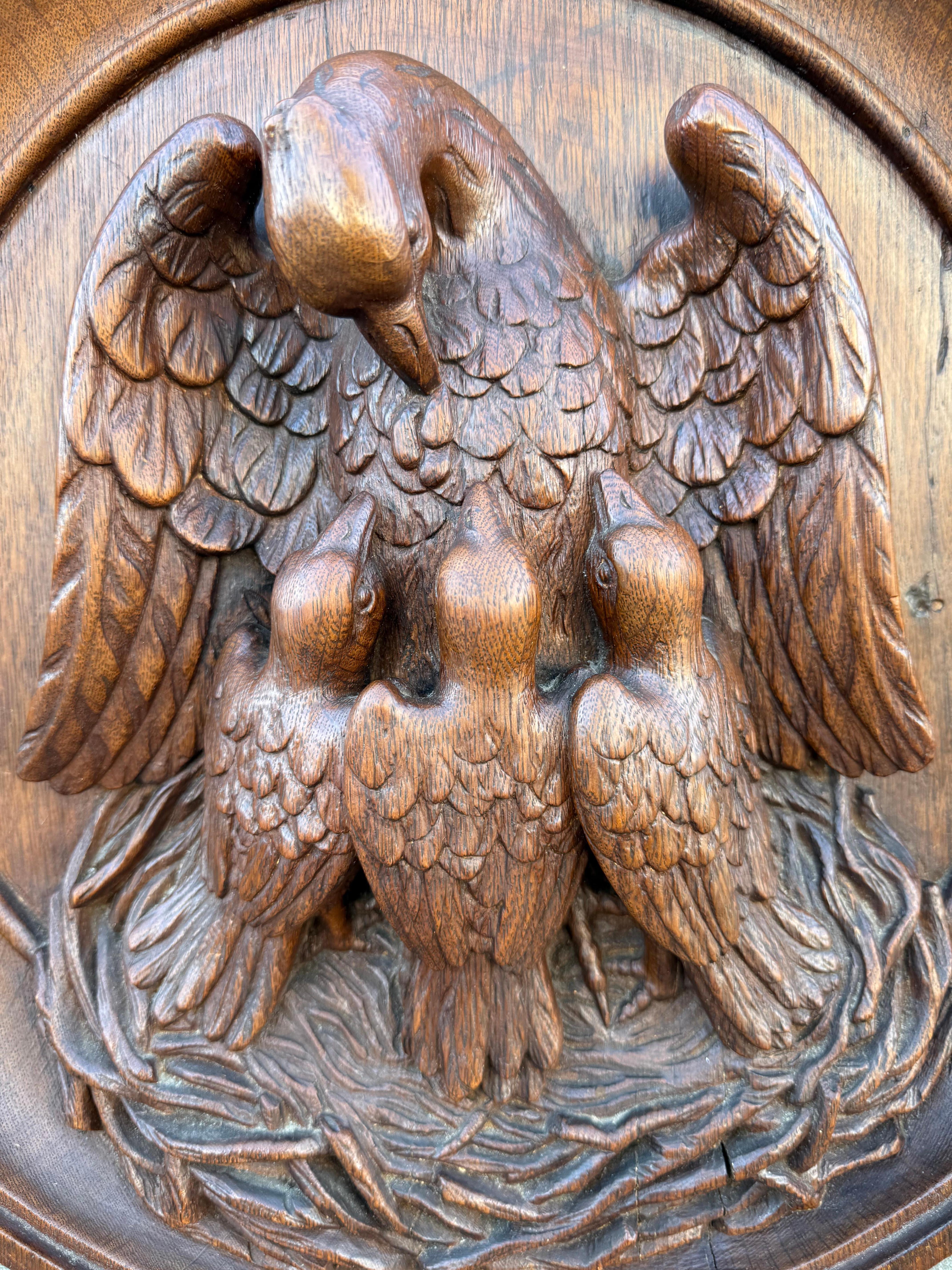 European Antique Carved Oak Gothic Art Round Panel of Feeding Pelican as Symbol of Christ For Sale