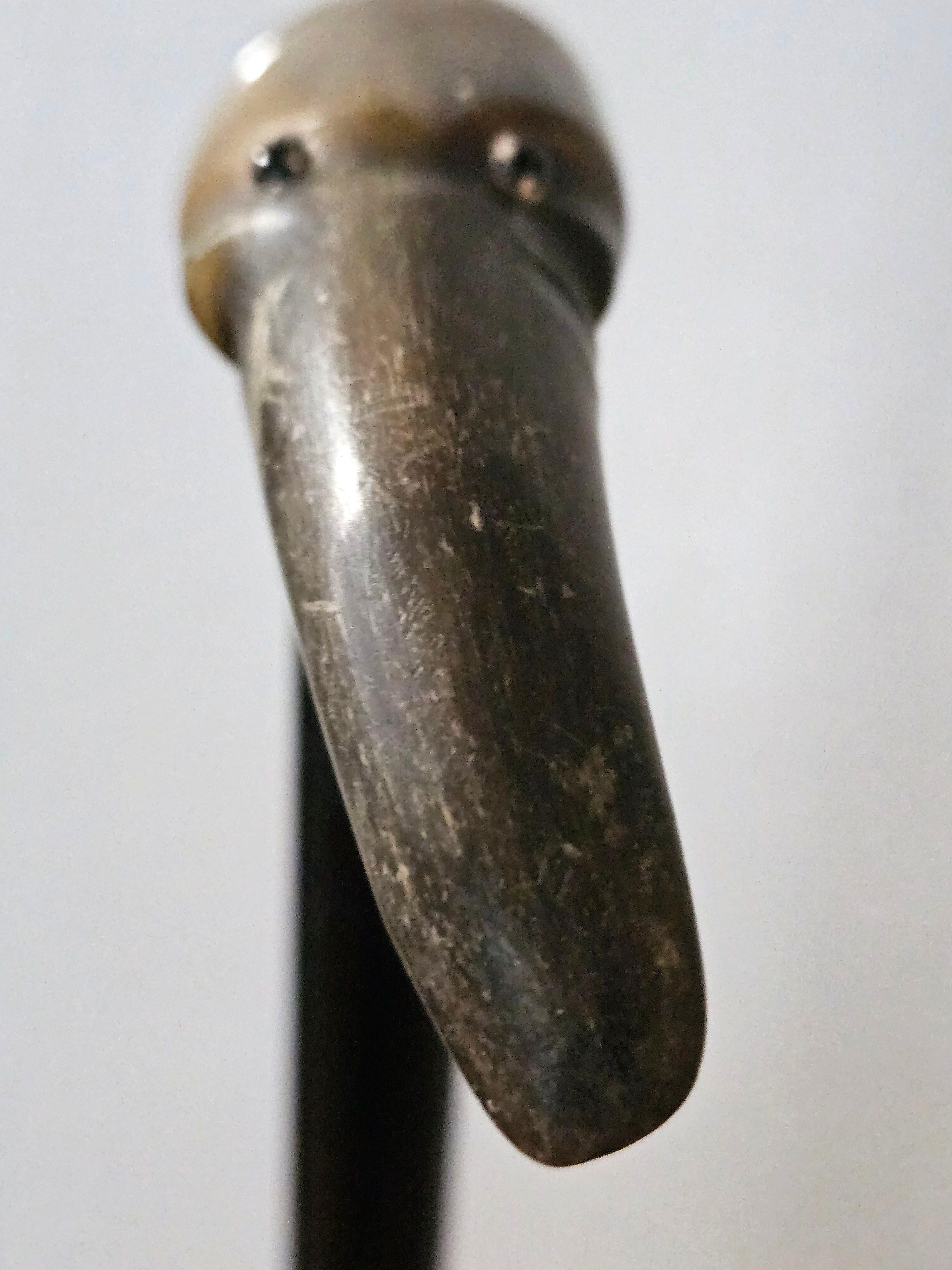 Ancienne canne bâton de marche en corne de bœuf sculptée en vente 2