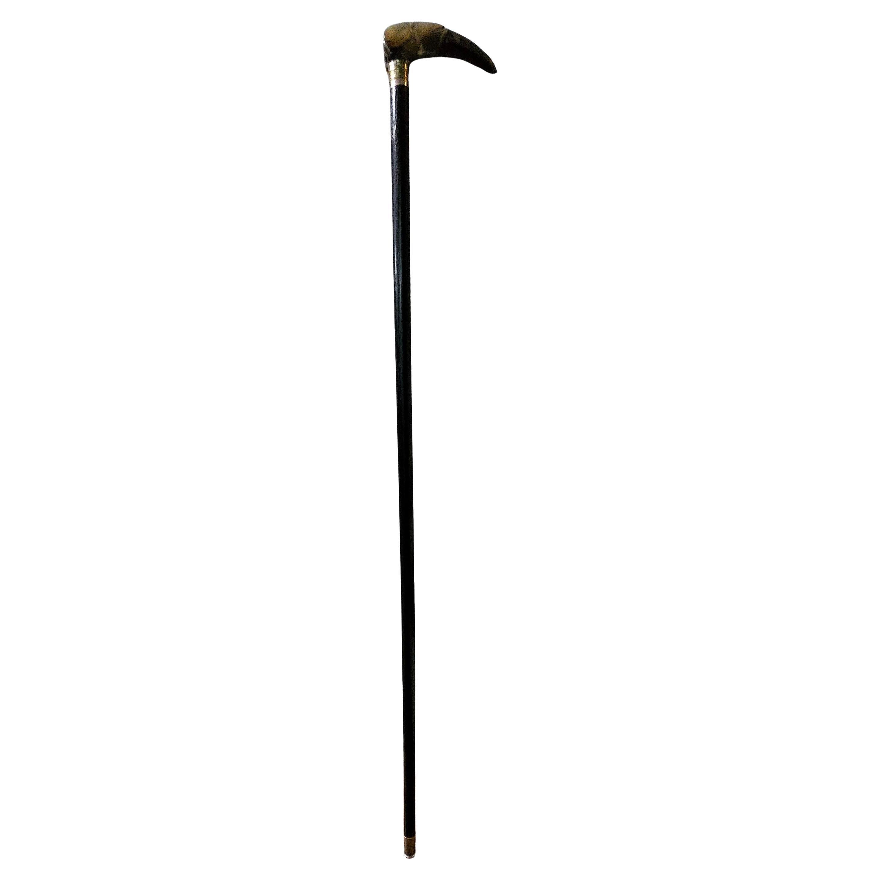 Antique Carved Steer Horn Walking Stick Cane