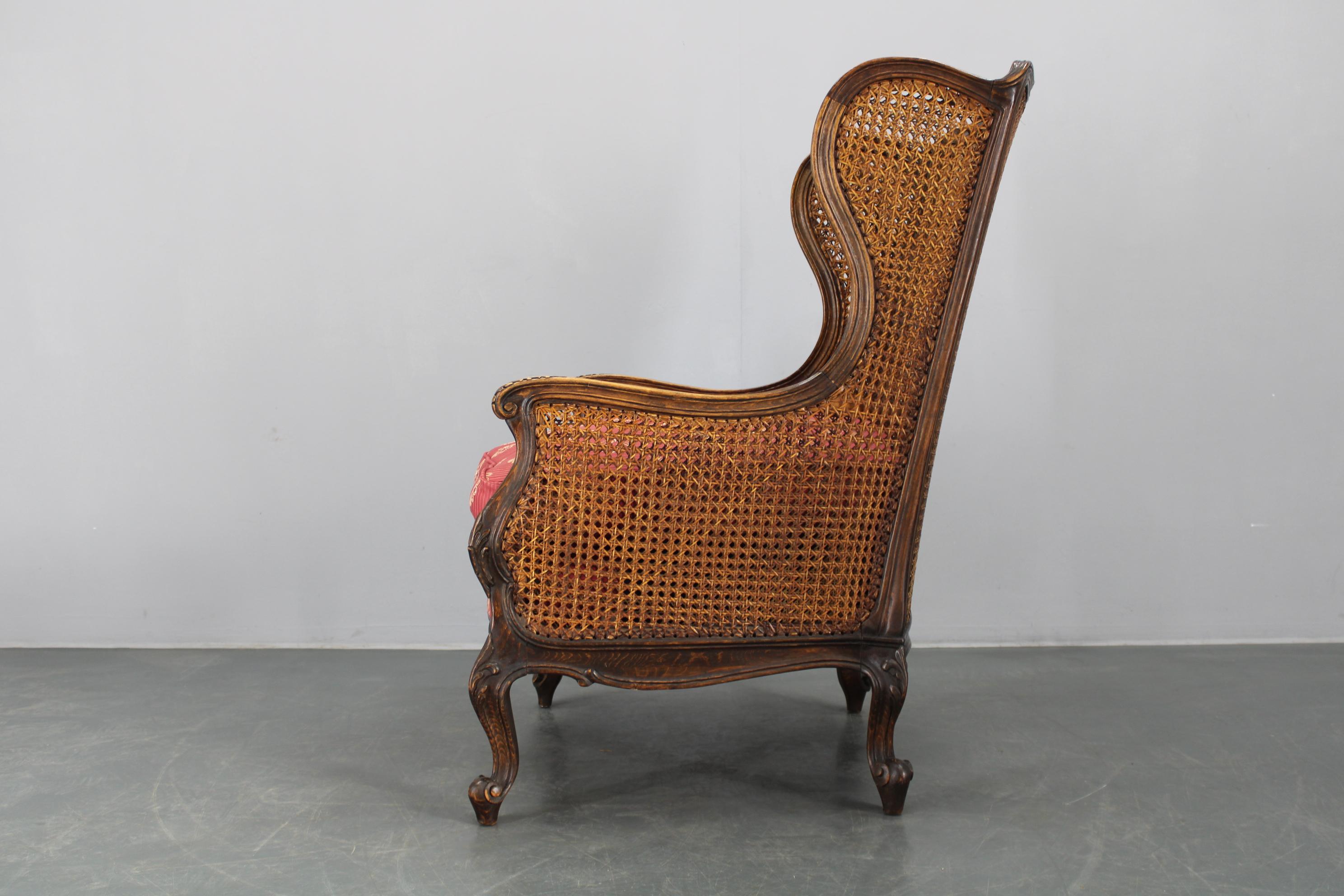 Antique Carved Wing Chair with Cane Sides , Czechoslovakia For Sale 13
