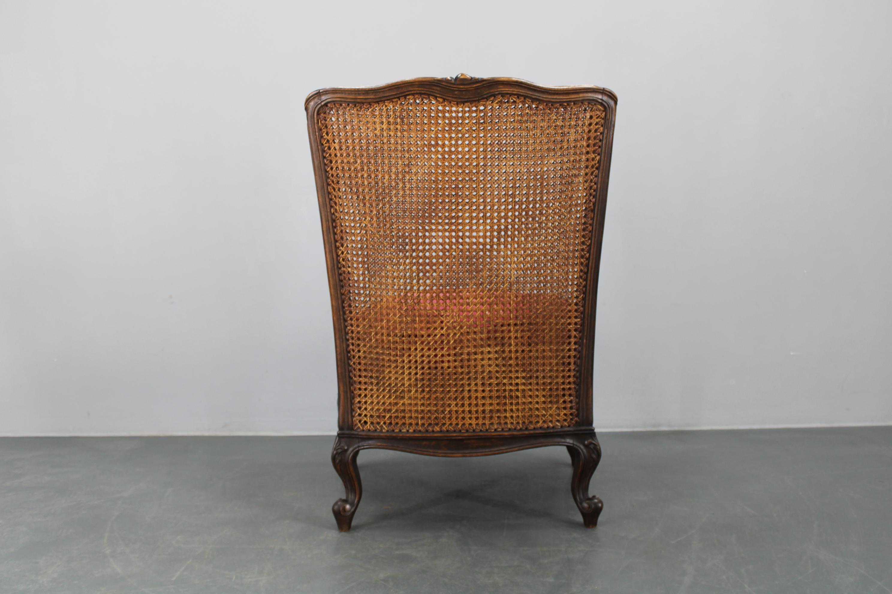 Antique Carved Wing Chair with Cane Sides , Czechoslovakia For Sale 14