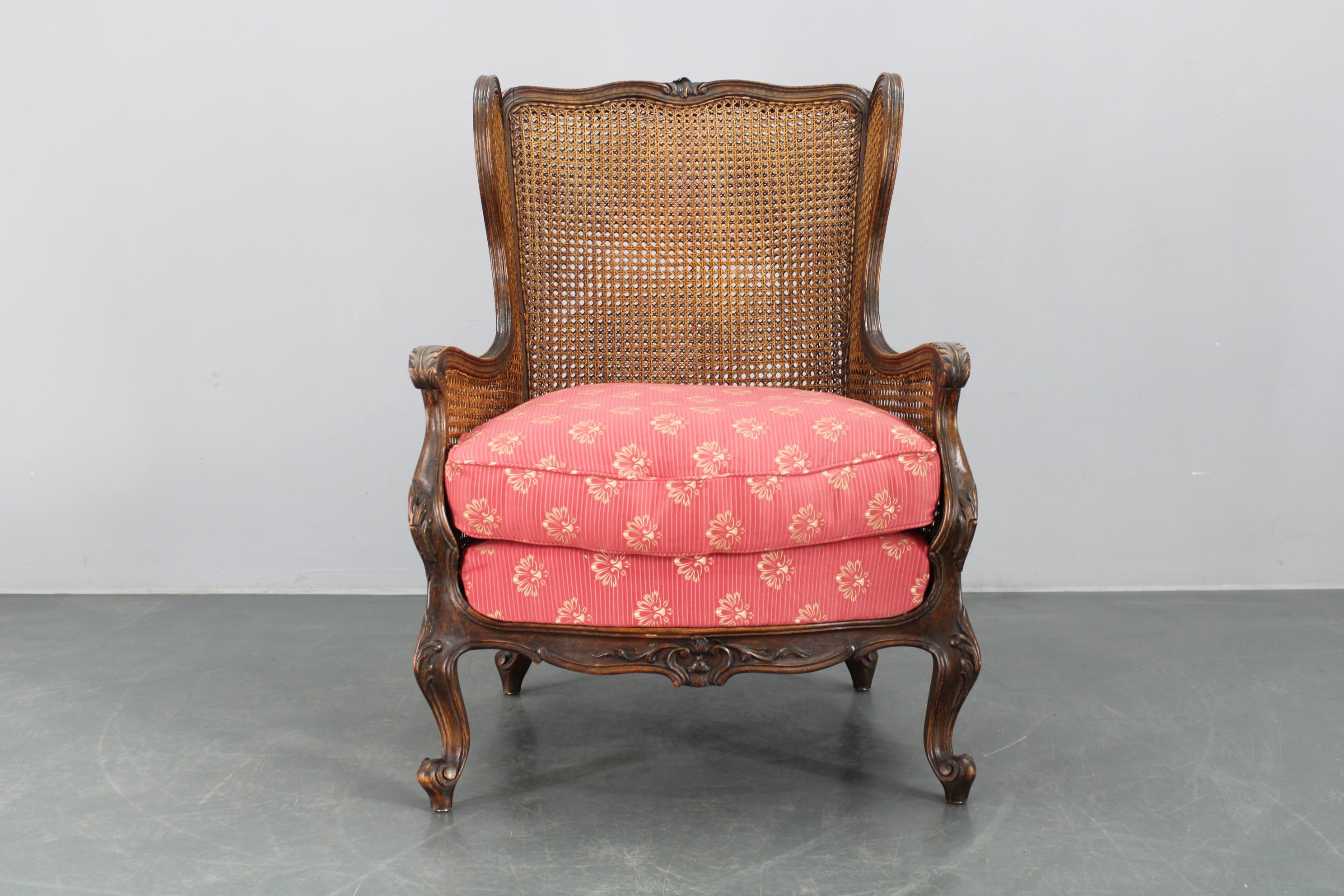 Art Nouveau Antique Carved Wing Chair with Cane Sides , Czechoslovakia For Sale