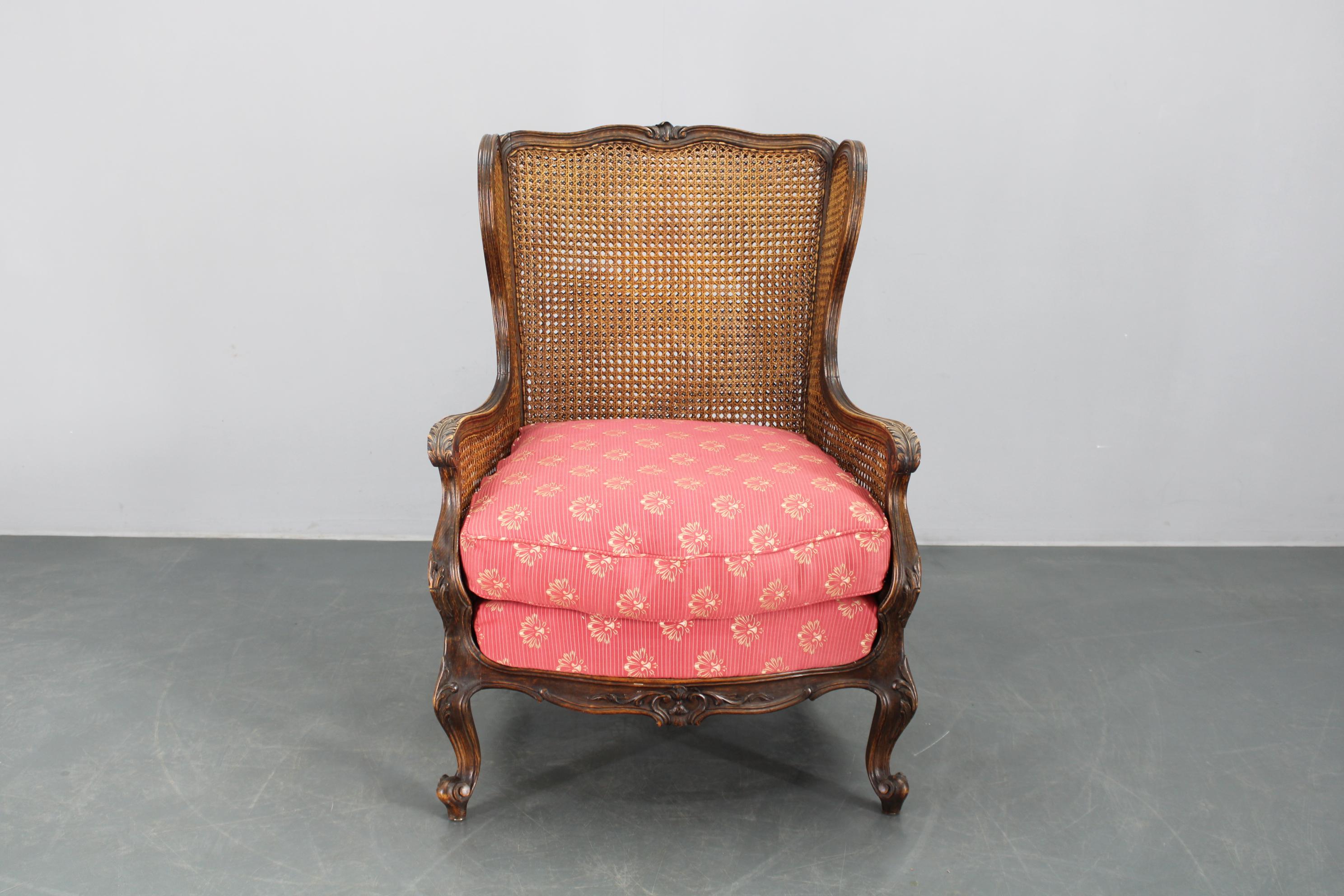Antique Carved Wing Chair with Cane Sides , Czechoslovakia In Good Condition For Sale In Praha, CZ
